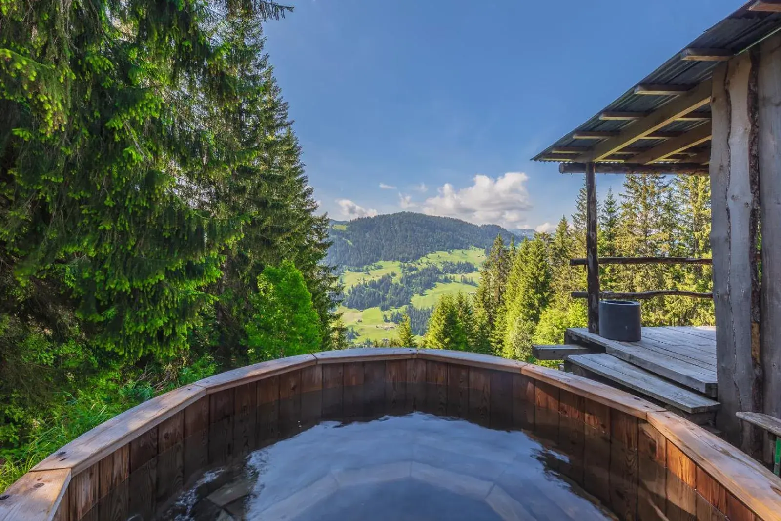 Swimming pool, Mountain View in Rinderberg Swiss Alpine Lodge