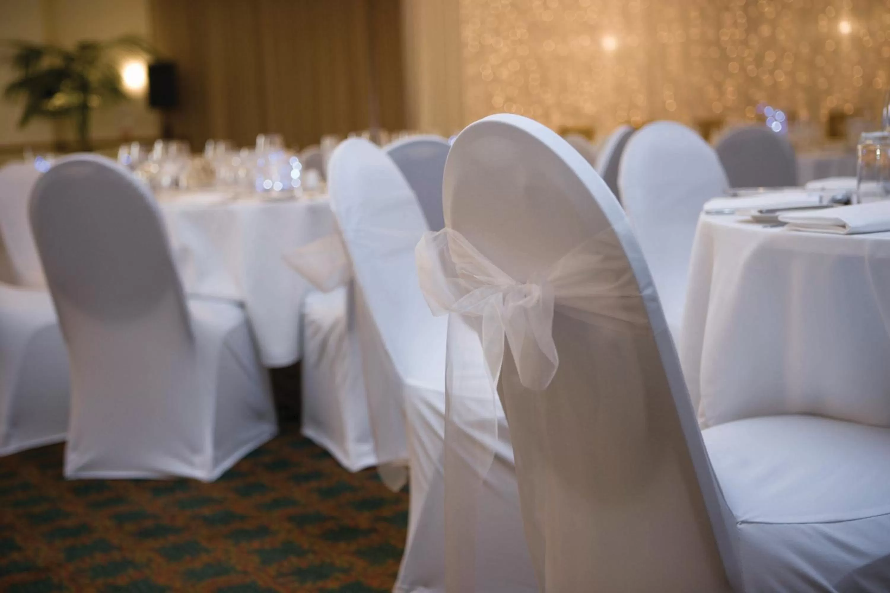 Banquet/Function facilities in Distinction Palmerston North Hotel & Conference Centre