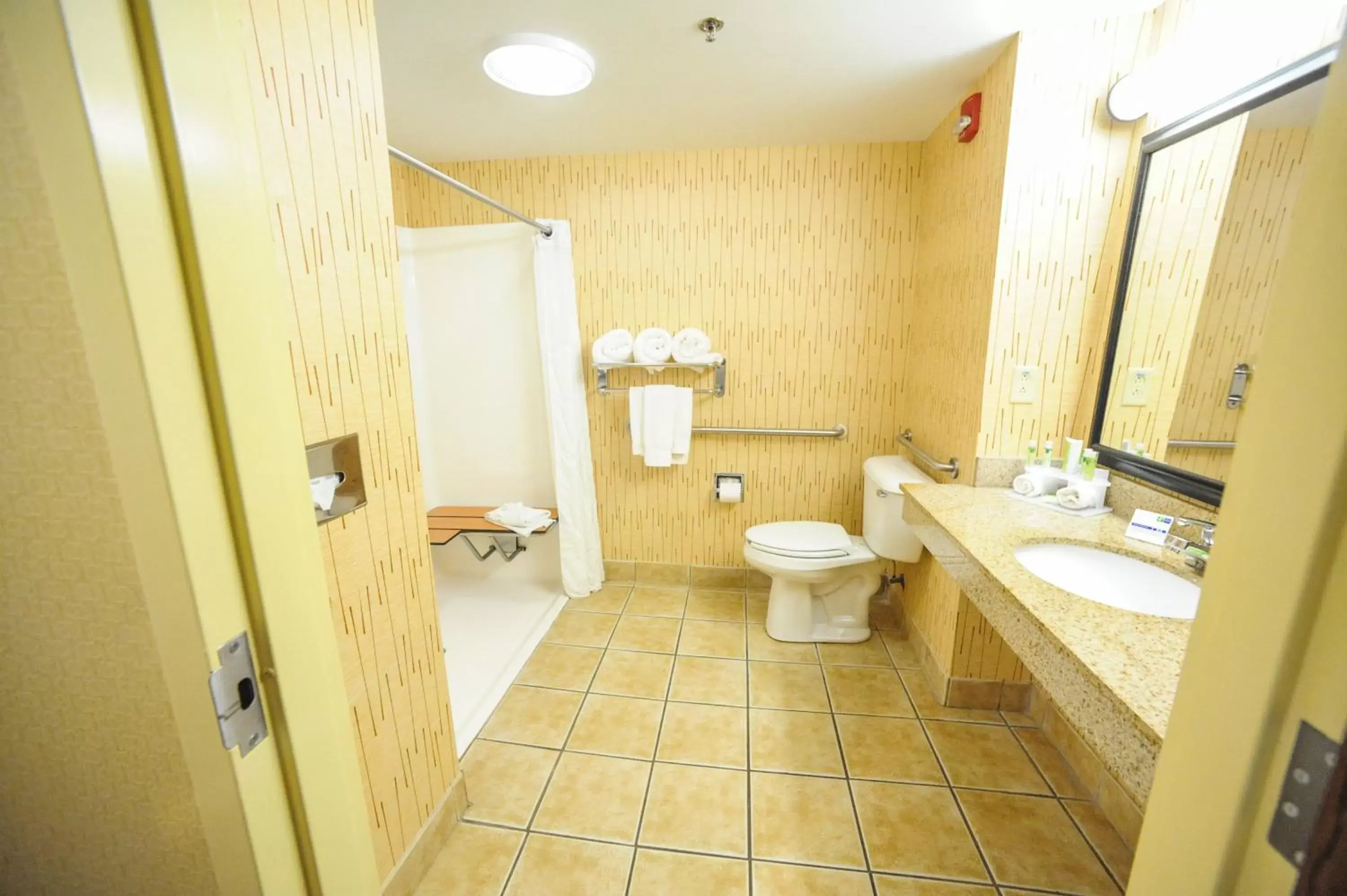 Photo of the whole room, Bathroom in Holiday Inn Express Hotel & Suites Bowling Green, an IHG Hotel