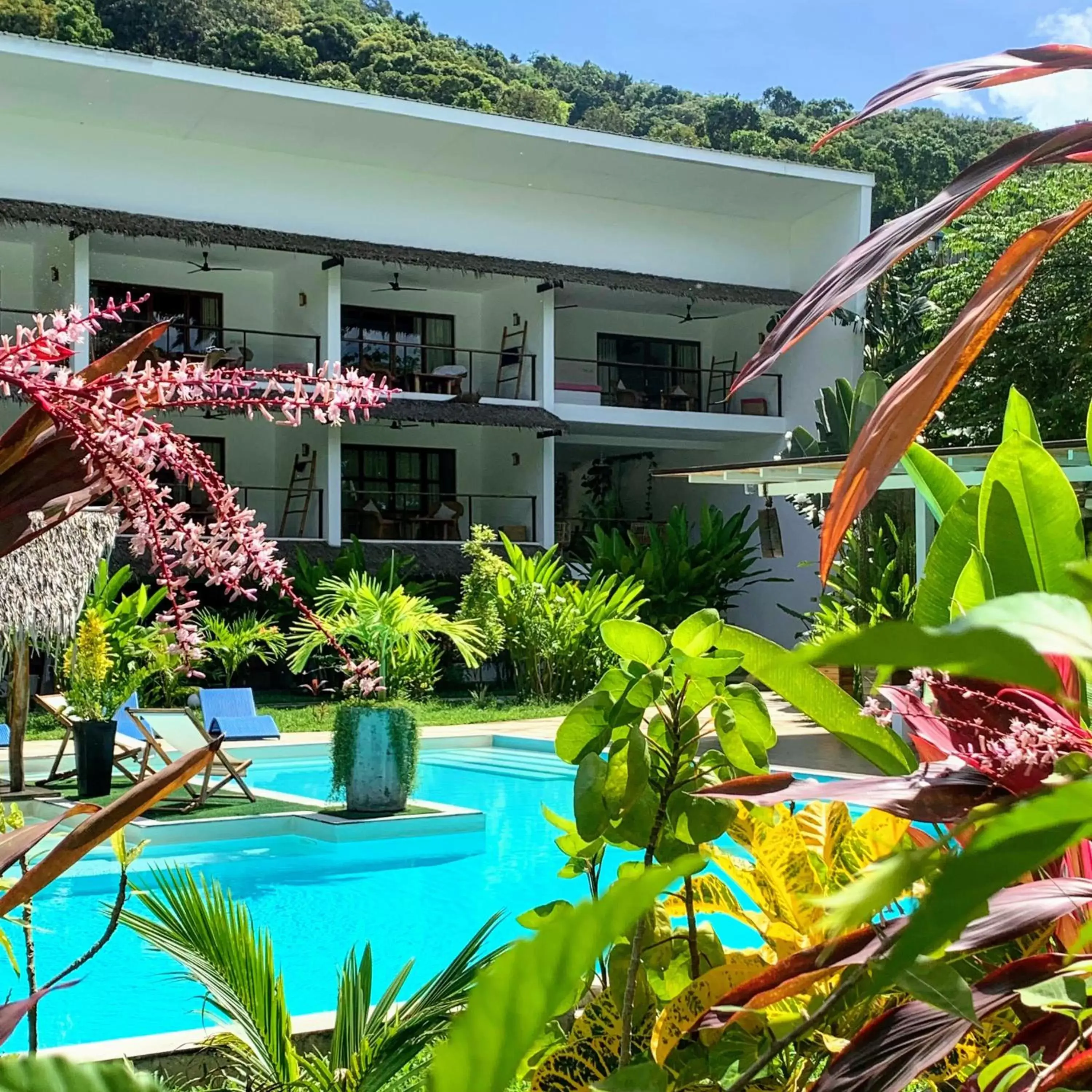 Property building, Swimming Pool in El Nido Moringa Resort