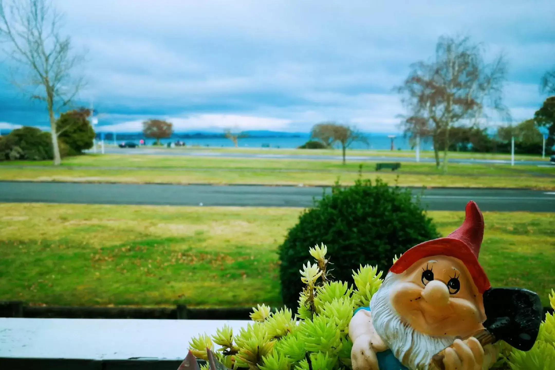 Lake view in Le Chalet Suisse Motel Taupo