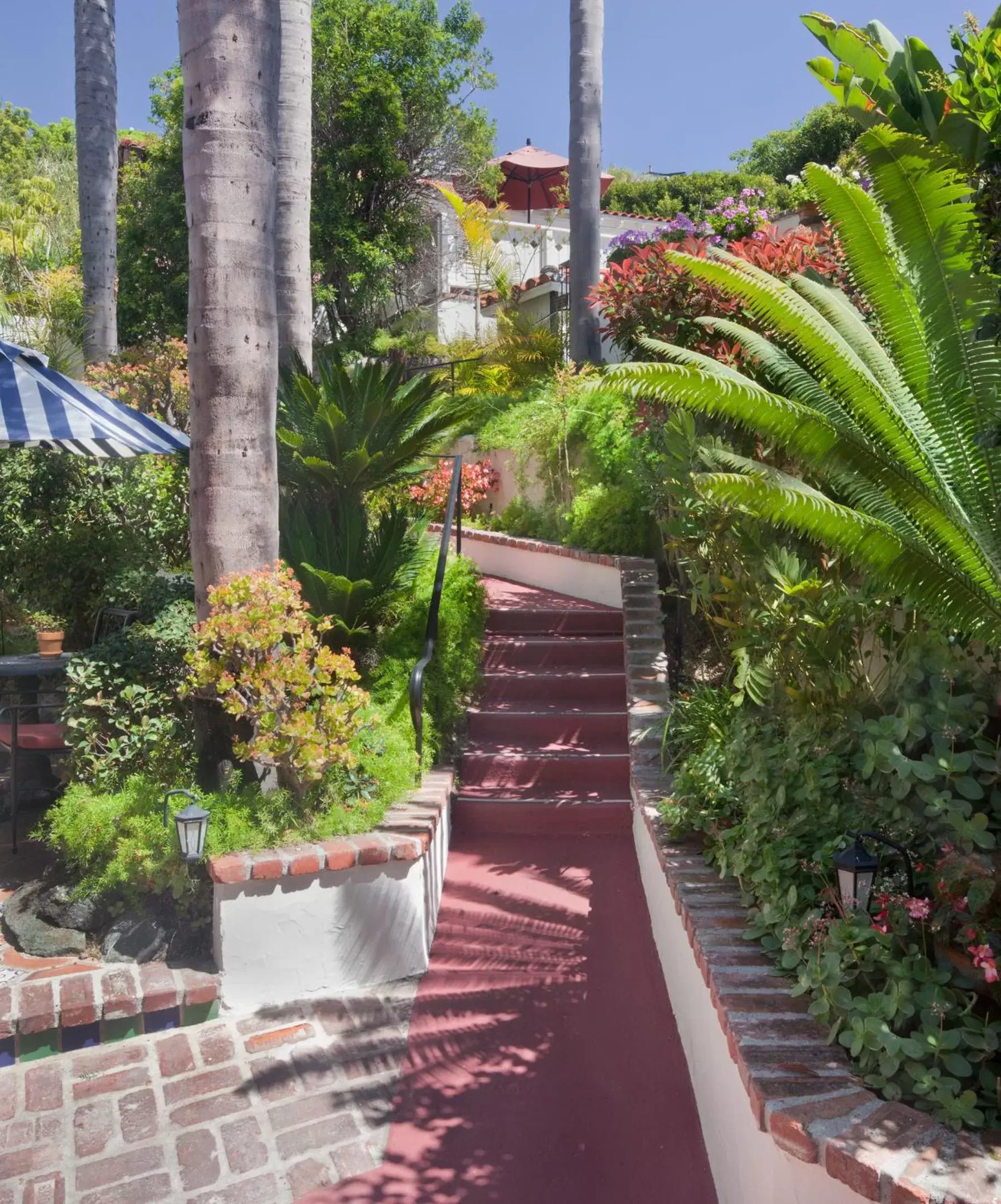 Garden in Casa Laguna Hotel & Spa