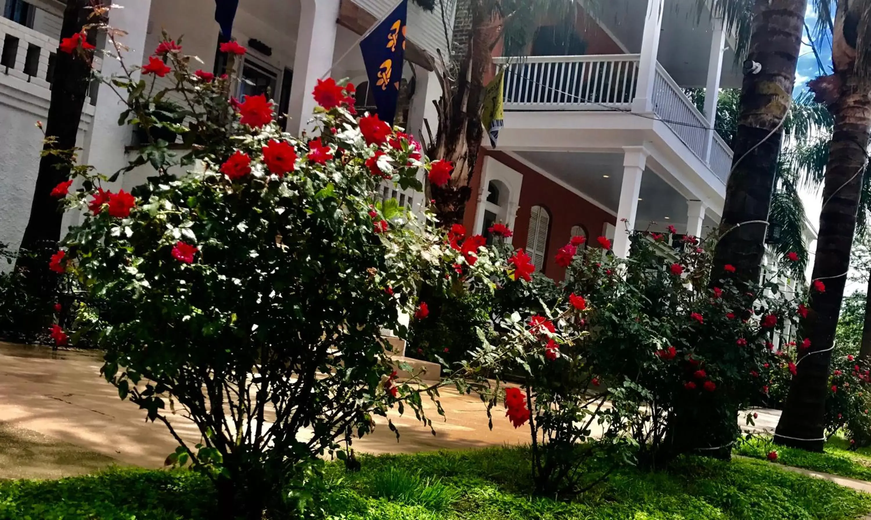 Garden in Magazine Mansion