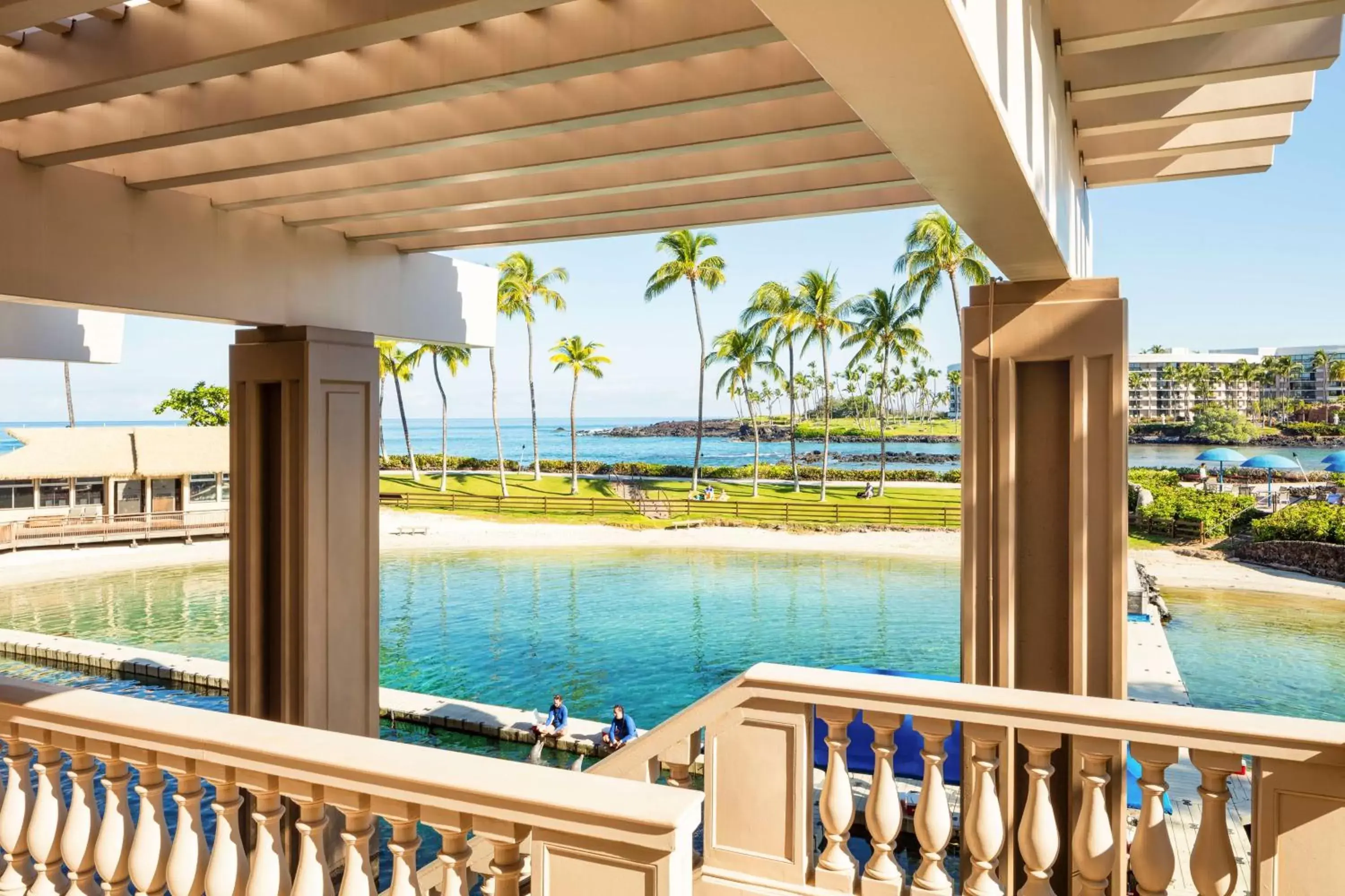 View (from property/room), Balcony/Terrace in Hilton Waikoloa Village