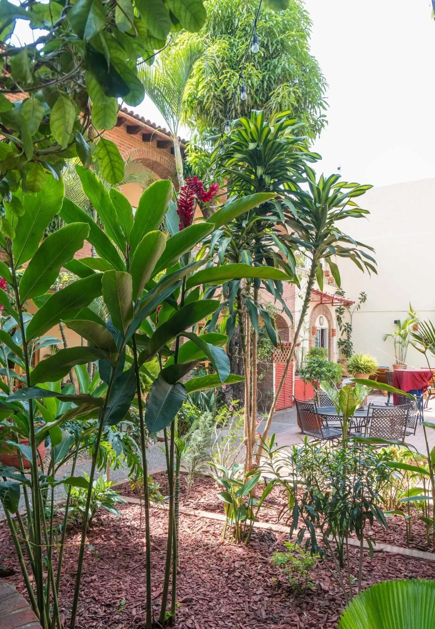 Garden in Hacienda Escondida Puerto Vallarta