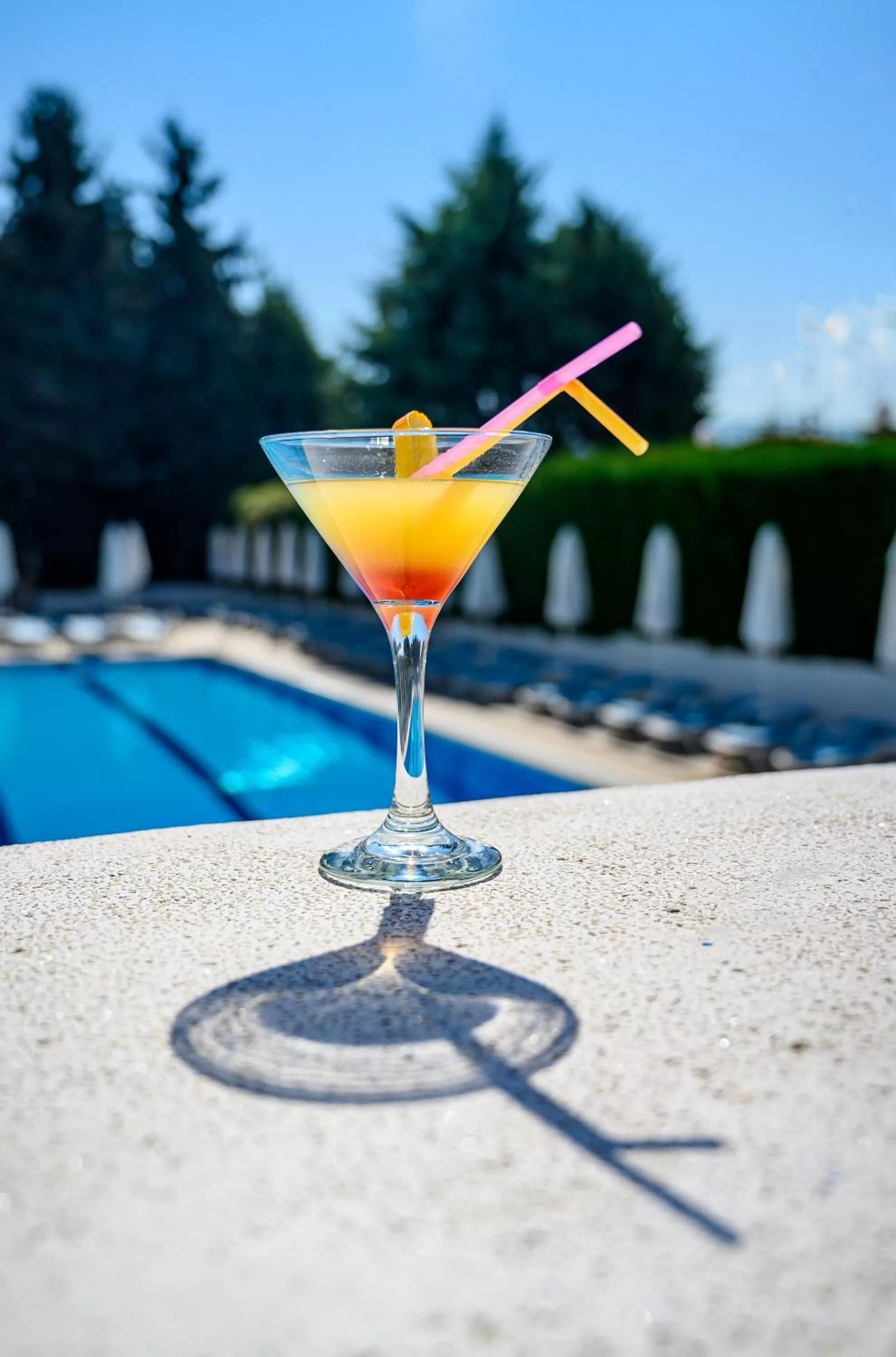 Day in Hotel Montecito