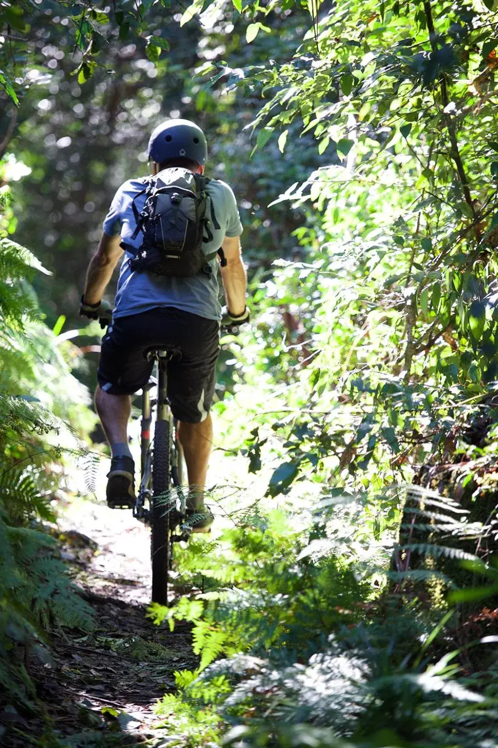 Day, Biking in Clarendon Forest Retreat