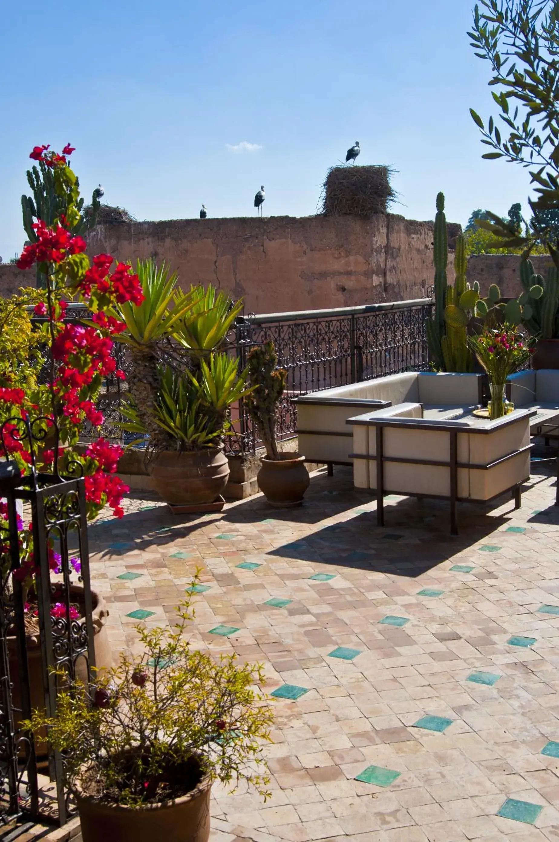 Balcony/Terrace in Riad Aladdin