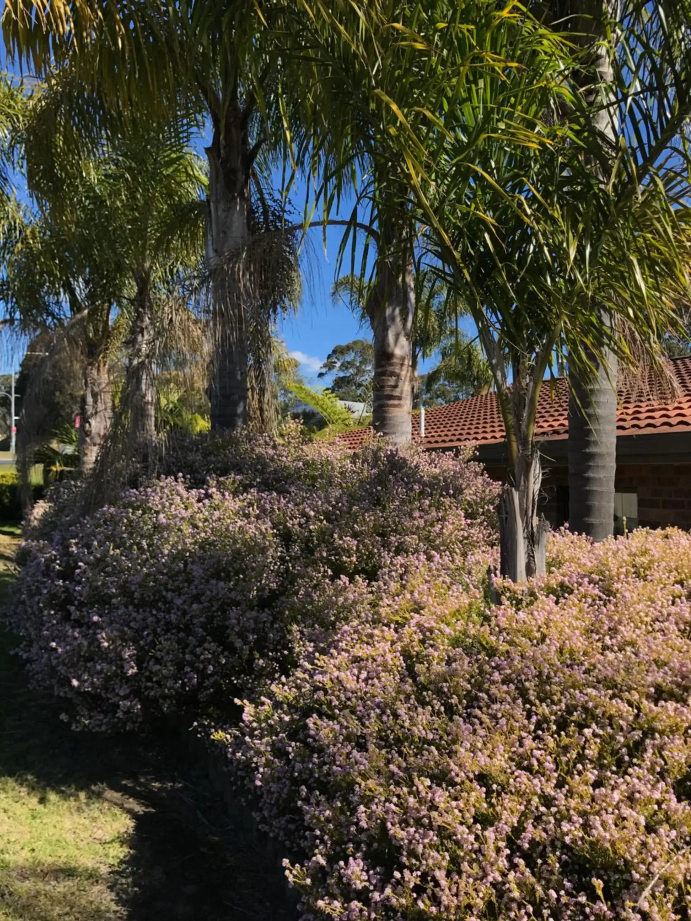 Facade/entrance in Sunseeker Motor Inn