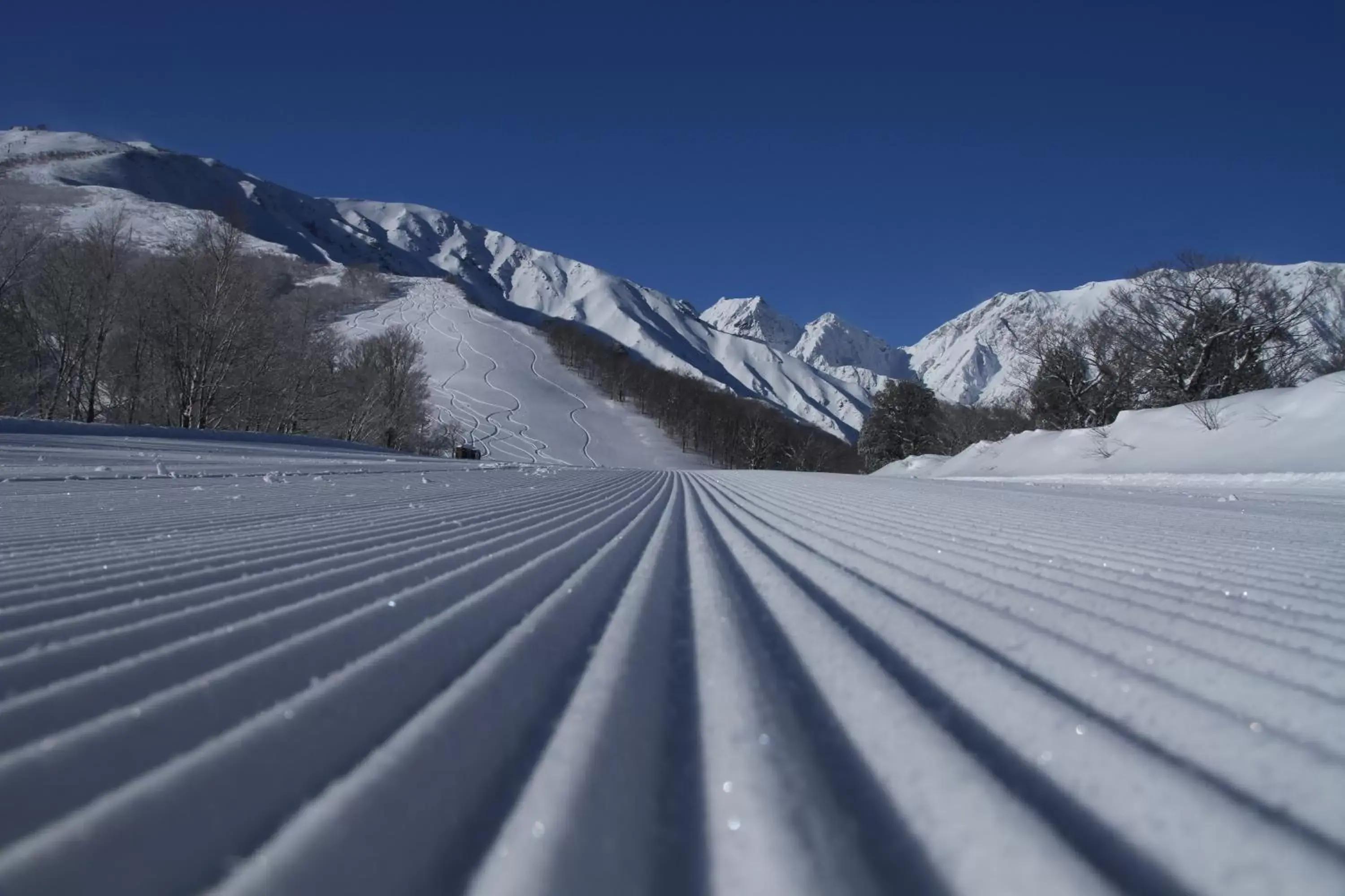 Skiing, Winter in Hotel Oak Forest