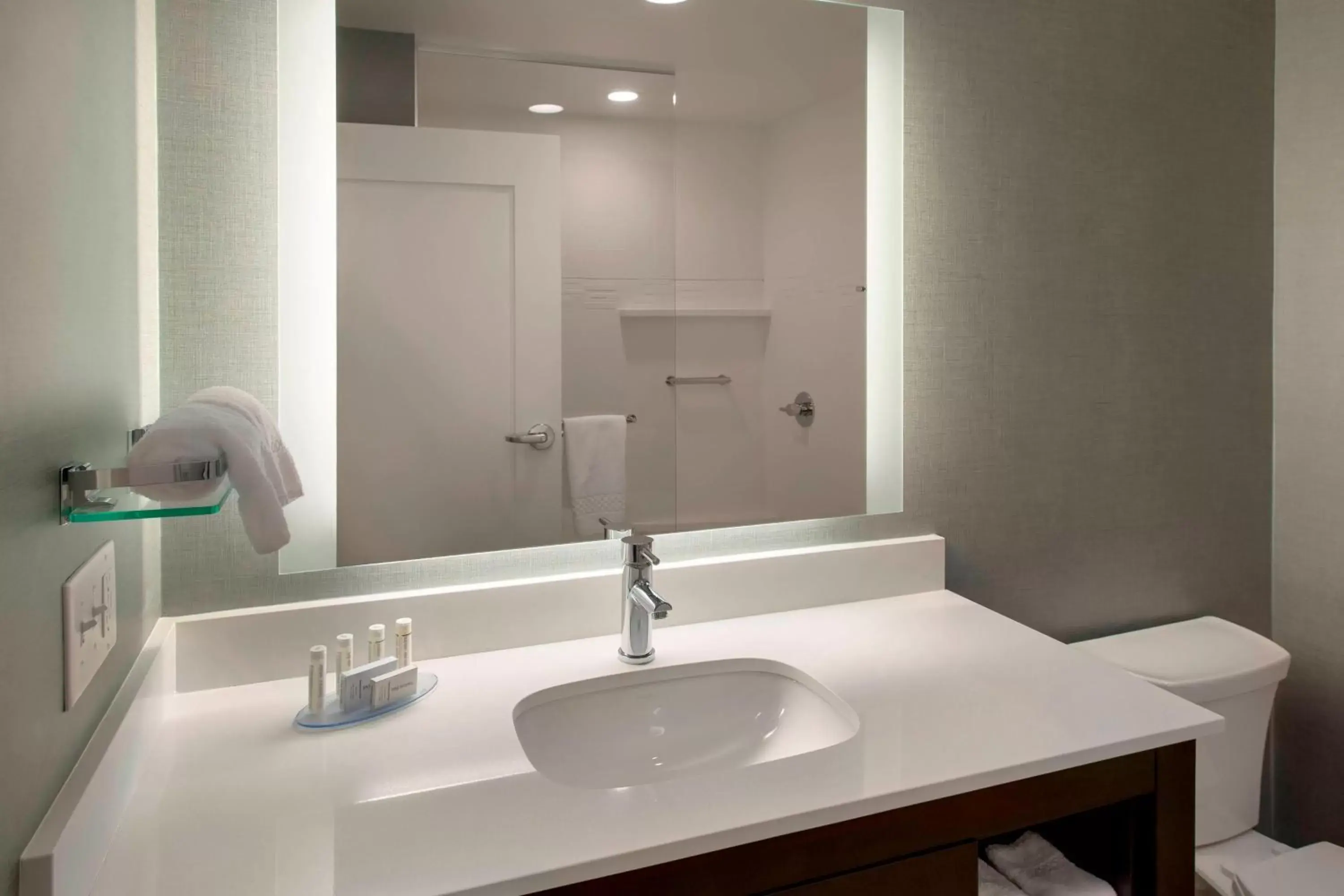 Bathroom in Residence Inn by Marriott Boston Bridgewater
