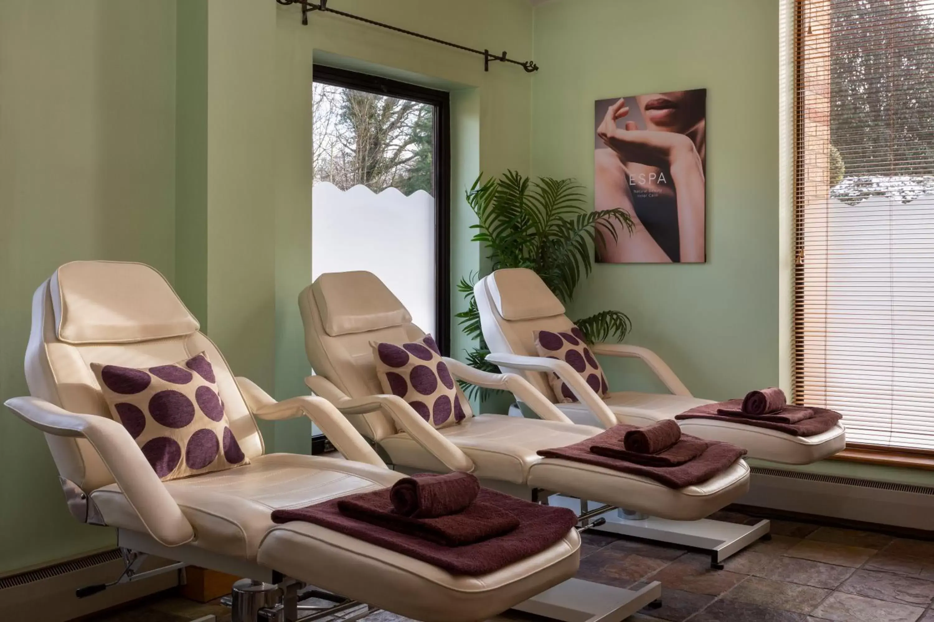 Spa and wellness centre/facilities in Bridgewood Manor Hotel & Spa