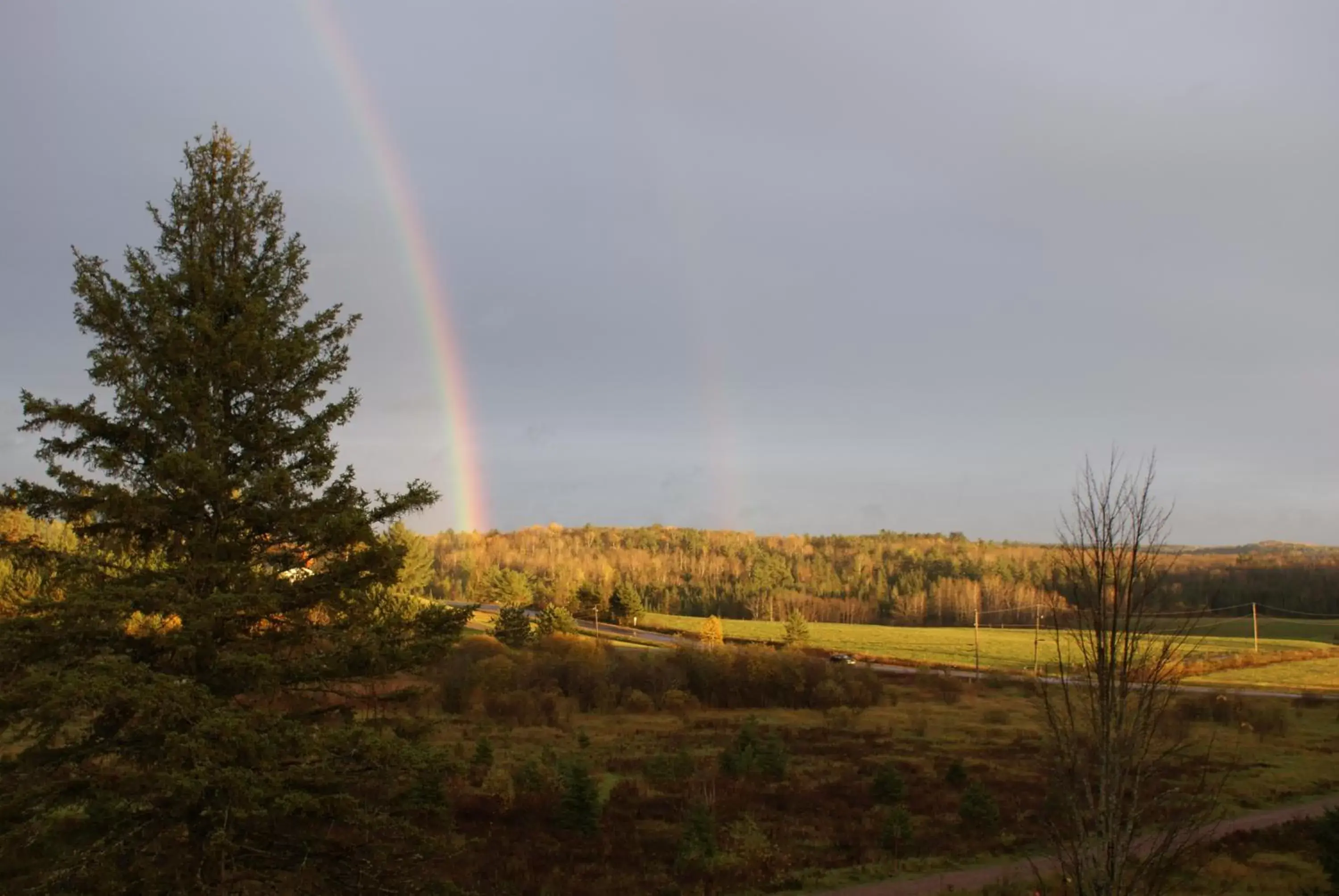 Natural Landscape in Top of Algonquin Bed and Breakfast