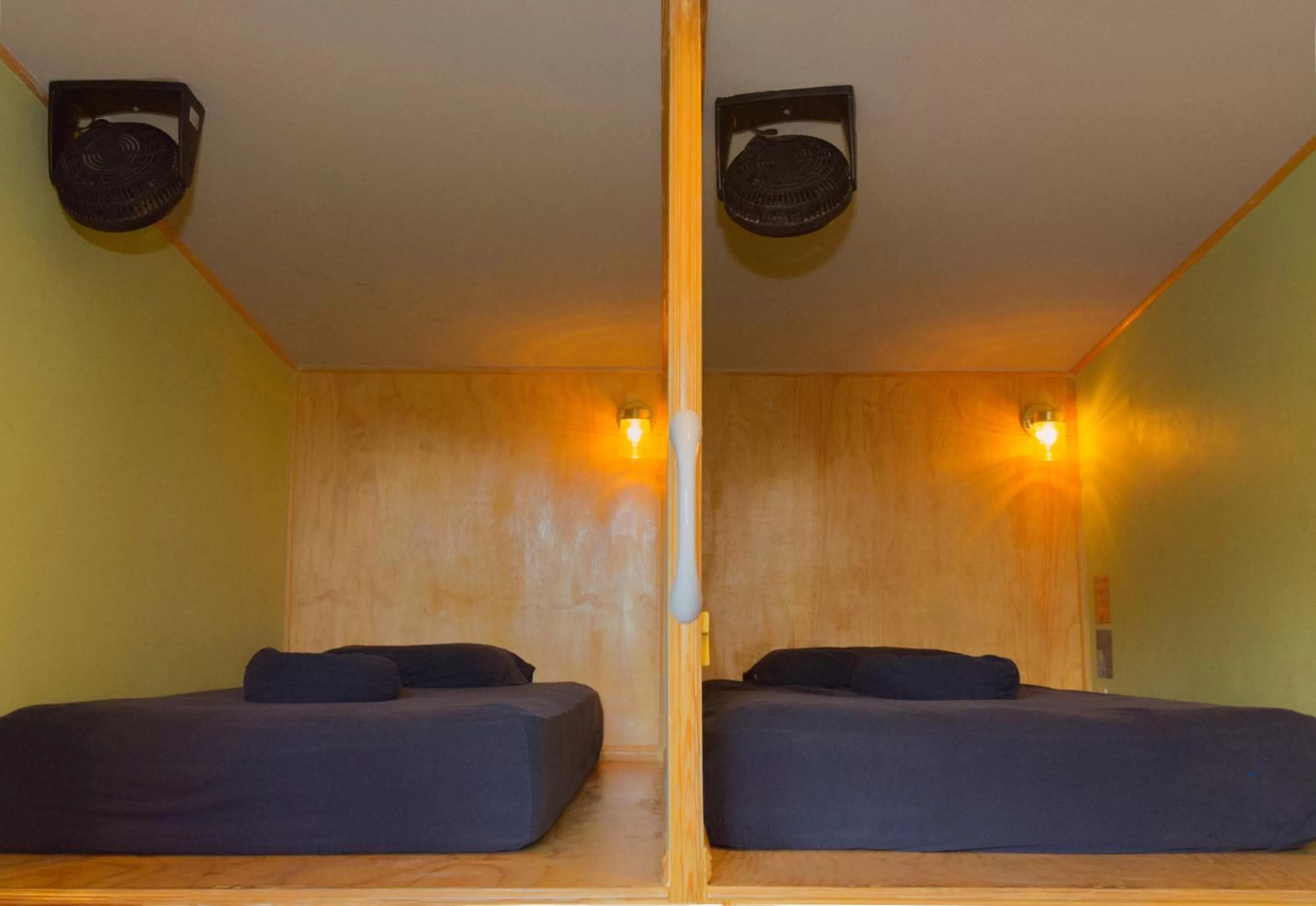 Bed in La Zona Hostel