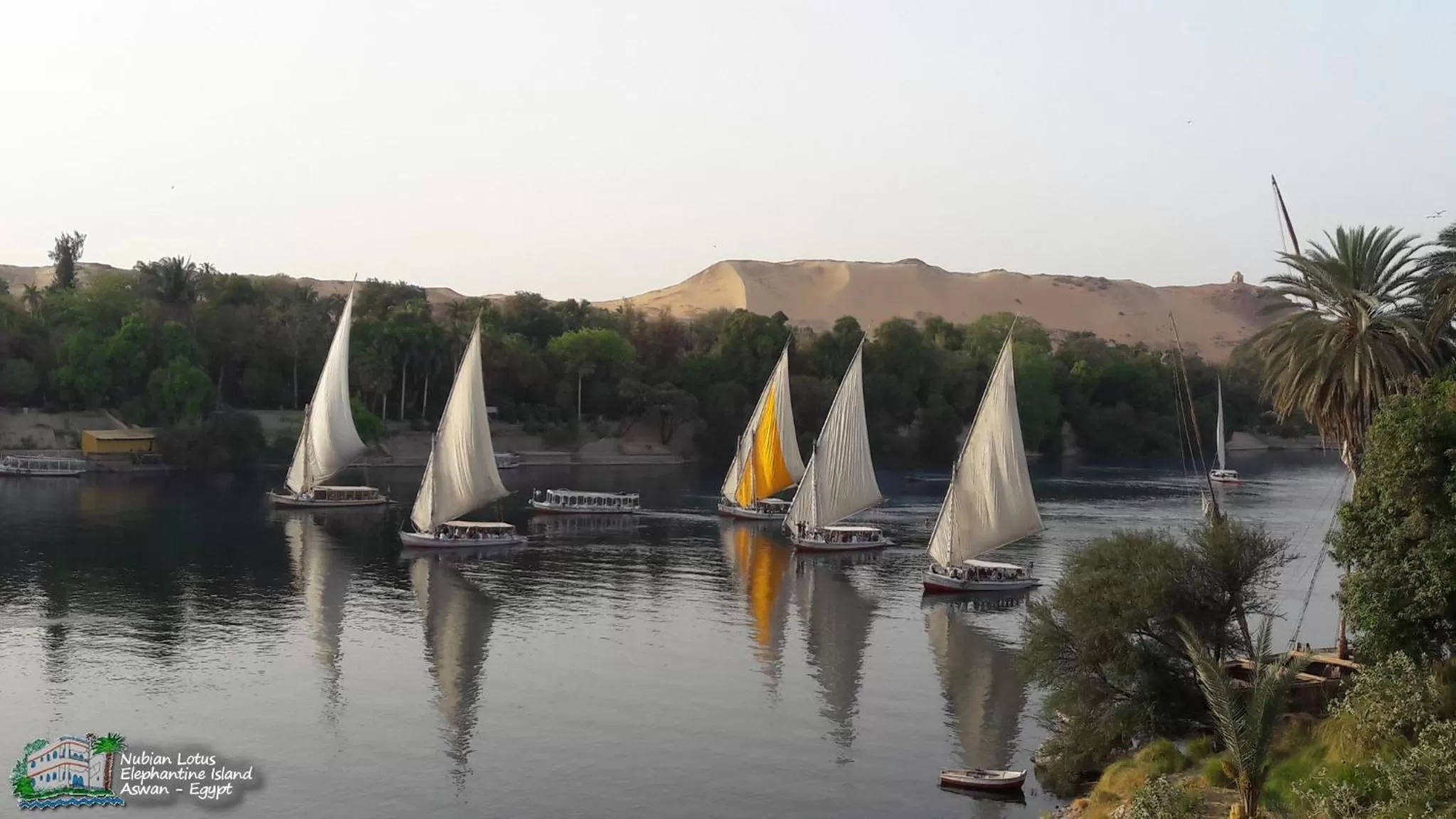 Property building in Nubian Lotus