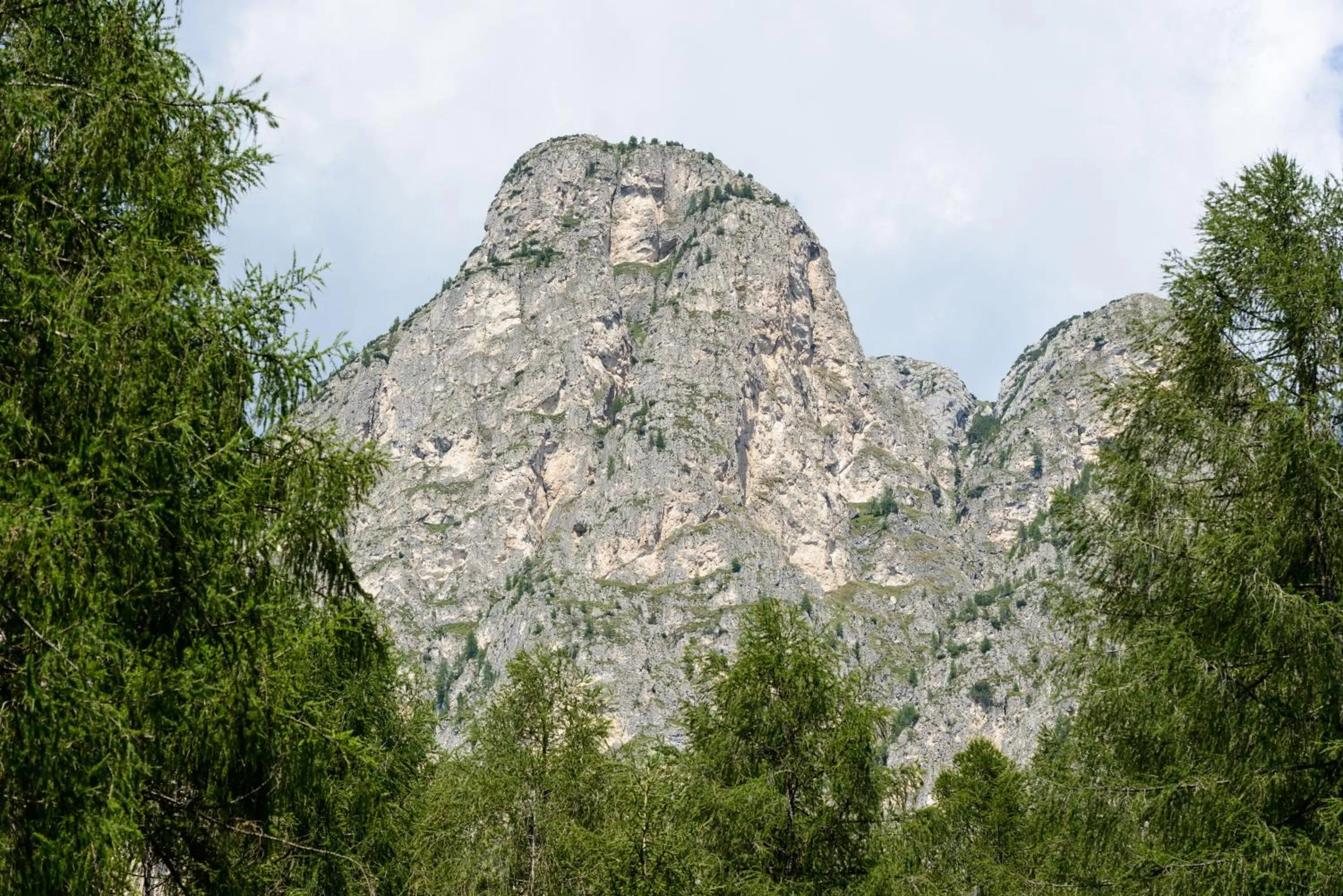 Mountain view in FORESTO - holiday apartments