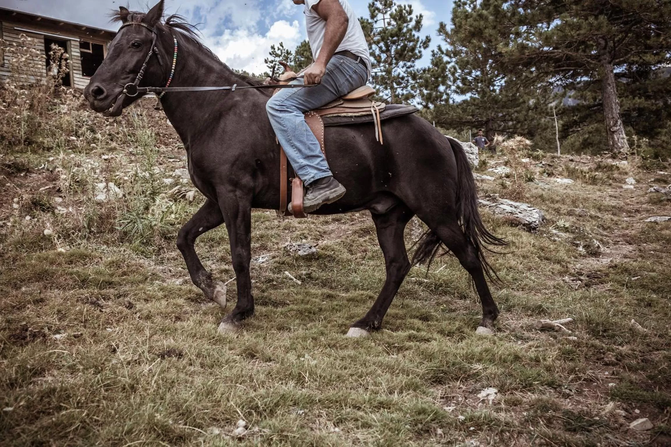 Horse-riding in Grand Forest Metsovo - Leading Hotels of the World
