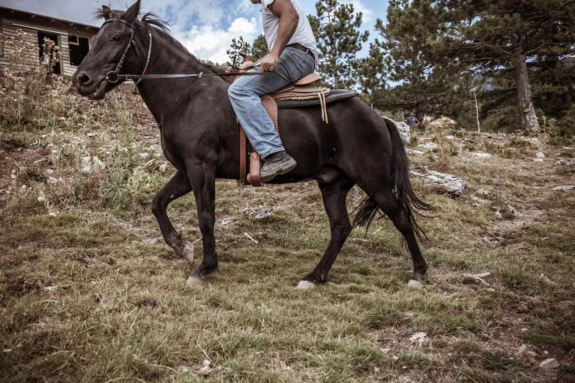 Horse-riding, Horseback Riding in Grand Forest Metsovo - Small Luxury Hotels of the World