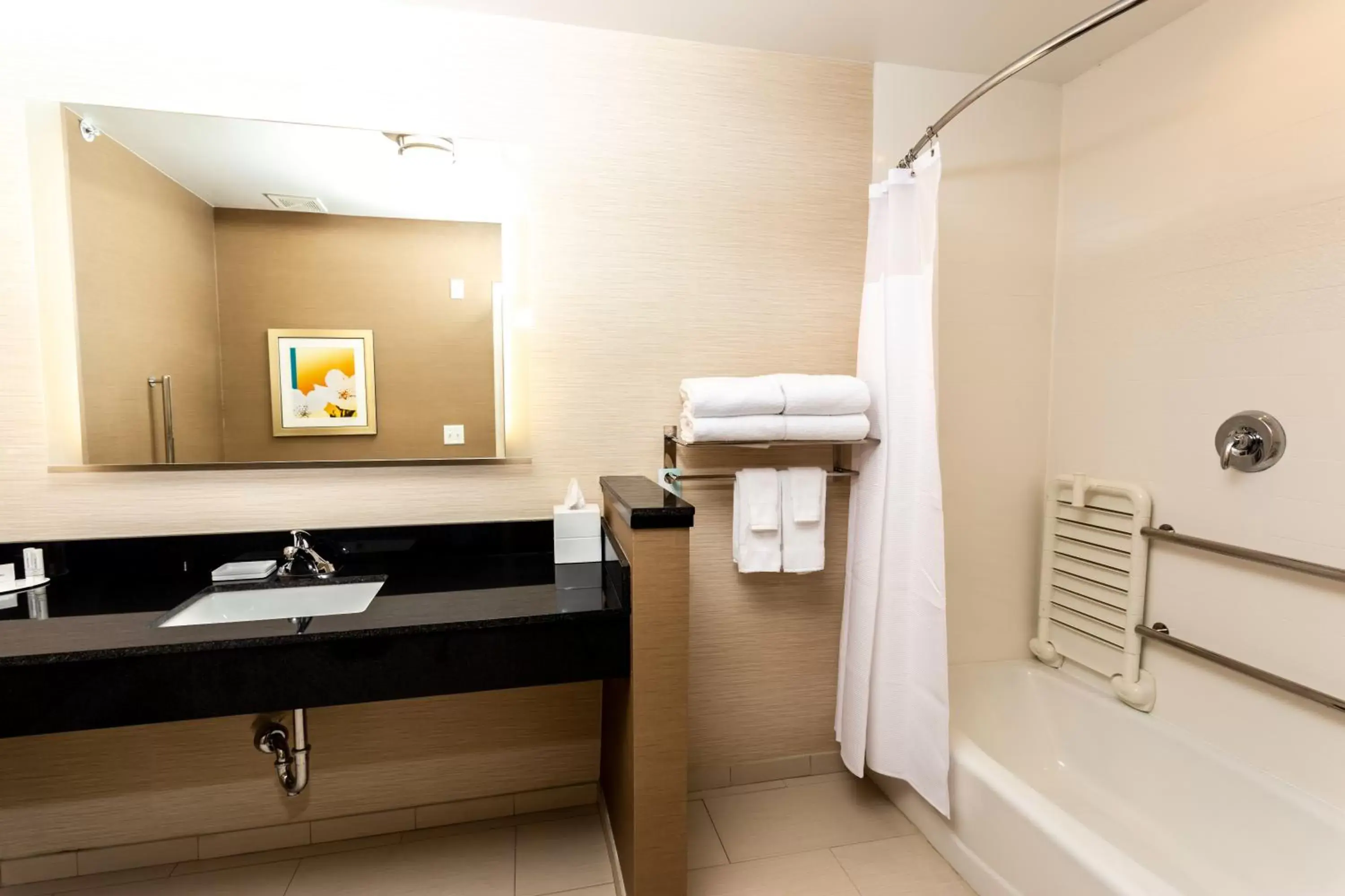Bathroom in Fairfield Inn & Suites by Marriott Bay City, Texas