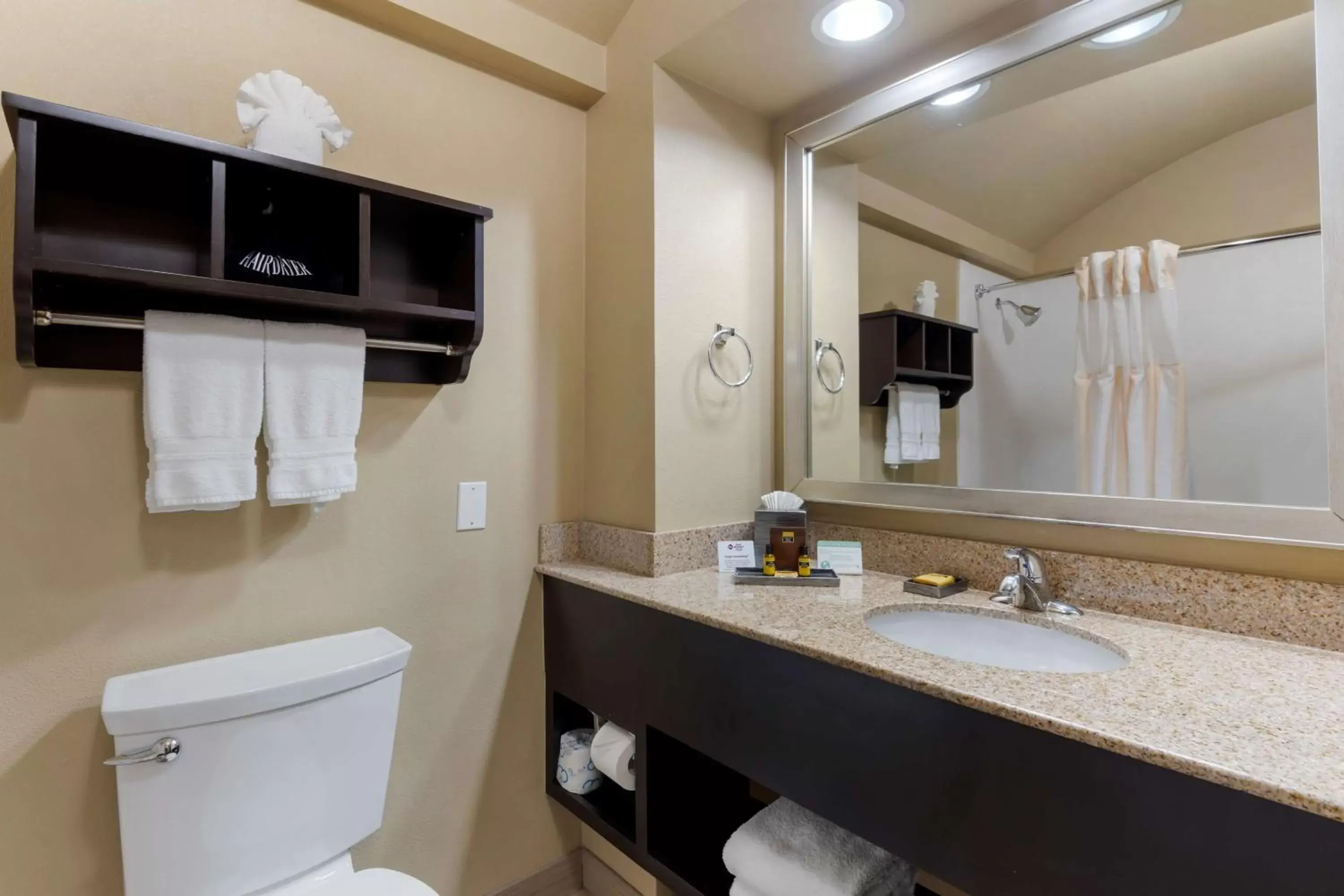 Bathroom in Best Western Plus Arlington North