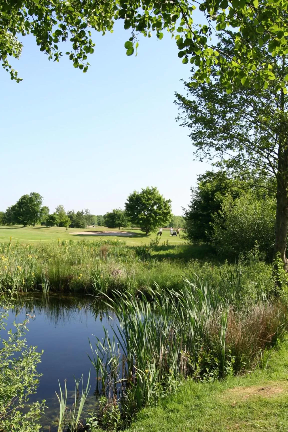 Golfcourse in Best Western Premier Seehotel Krautkrämer