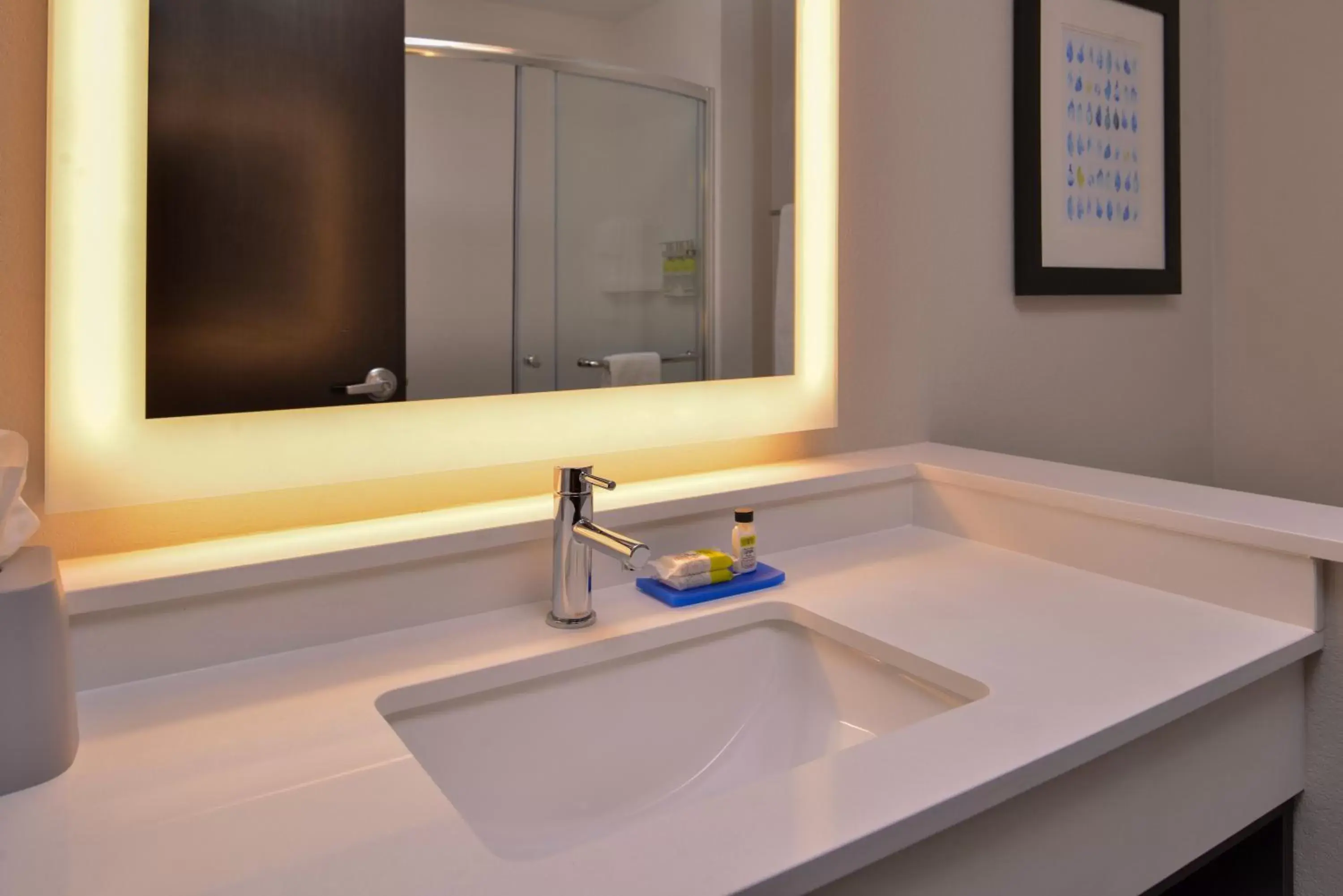 Bathroom in Holiday Inn Express & Suites - Olathe West, an IHG Hotel