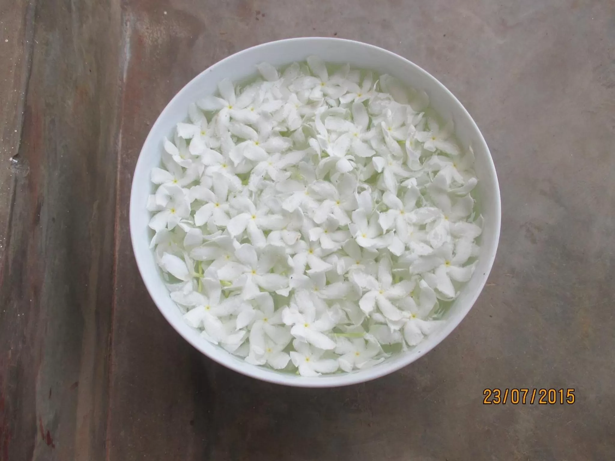 Food in Shiva Rest Katharagama