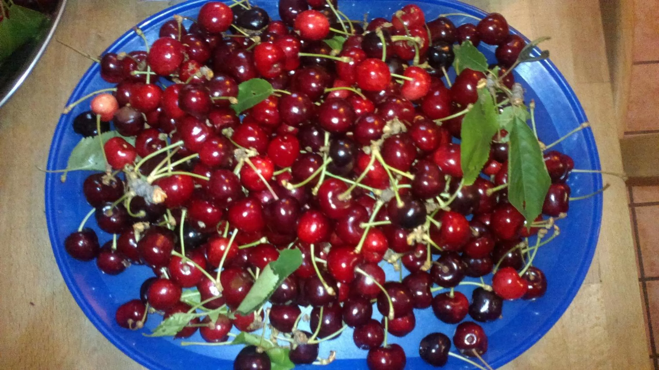 Food in Casa dell' Abbondanza B&B Agriturismo