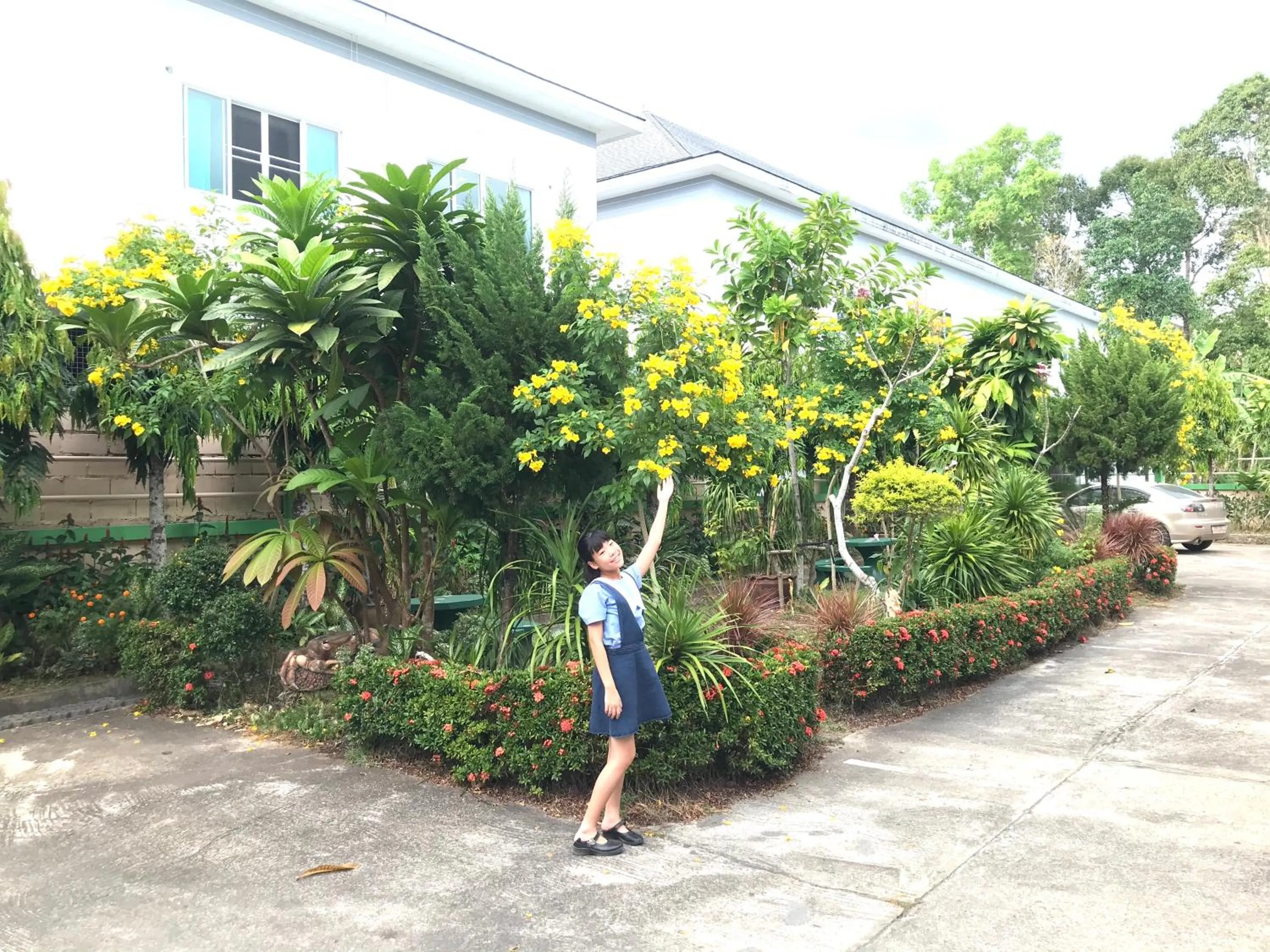 Garden in J.Holiday Inn Krabi