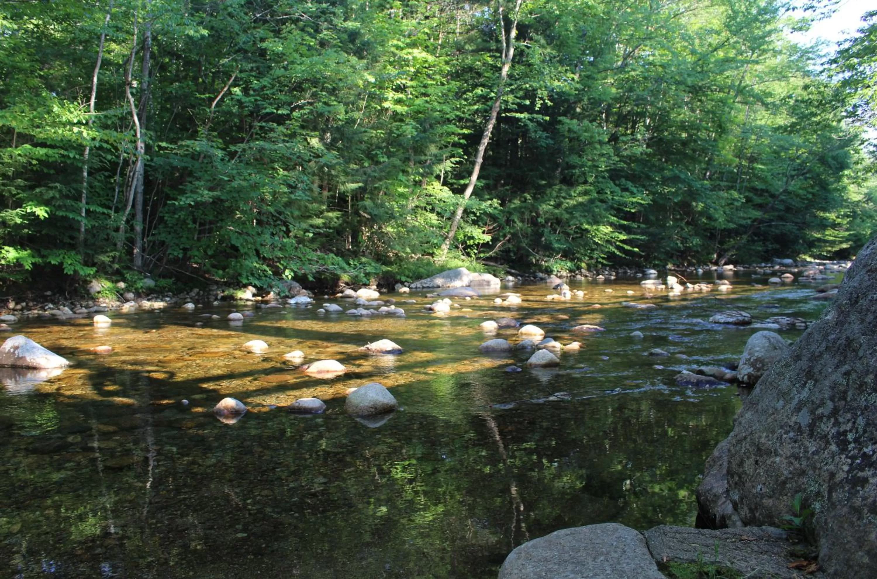 River view in Inn 32
