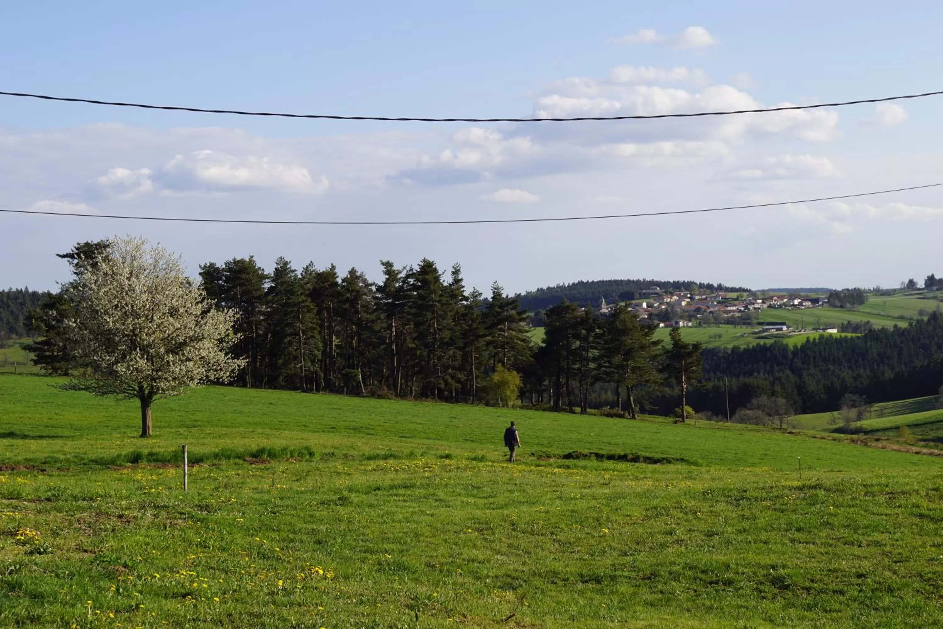 Natural landscape in Auberge des Myrtilles