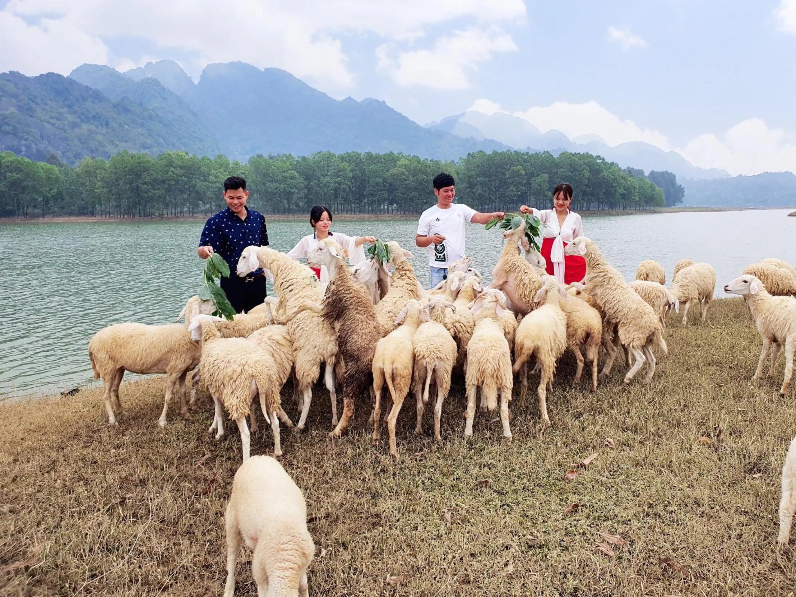 People, Horseback Riding in Tam Coc Mountain View Homestay