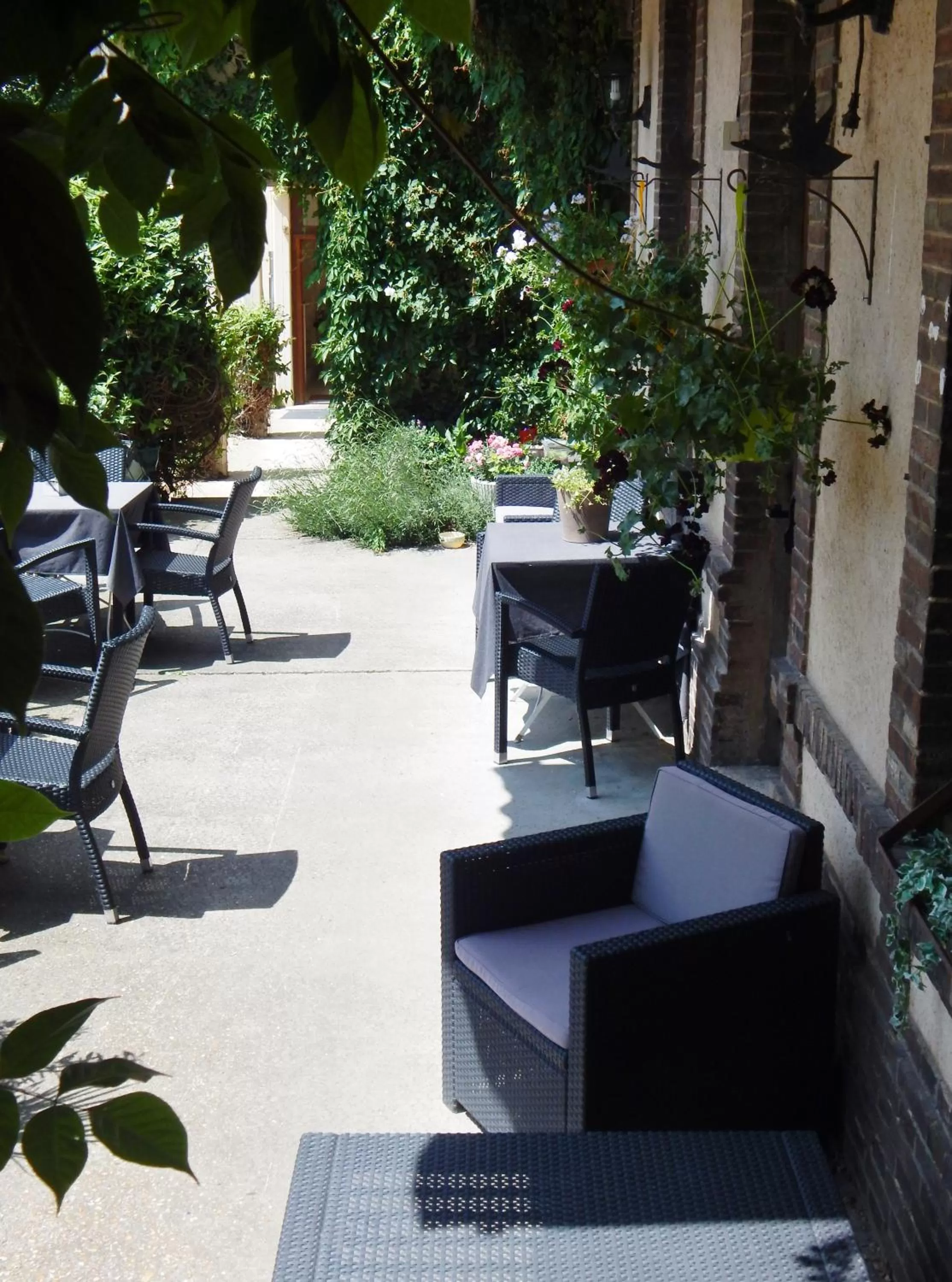 Patio in Hotel Restaurant Le Cygne