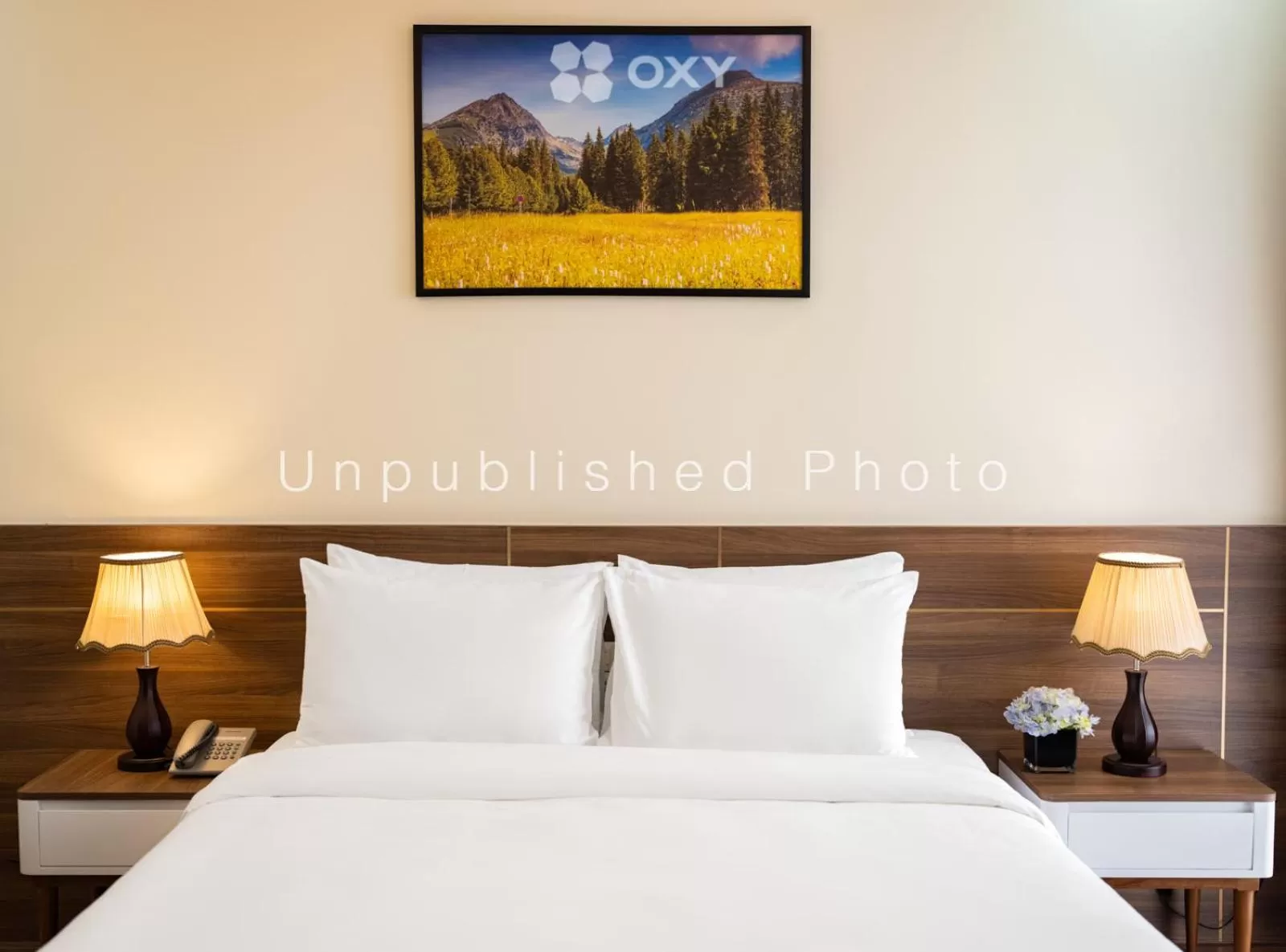 Photo of the whole room, Bed in Ha Long Essence Classic Hotel