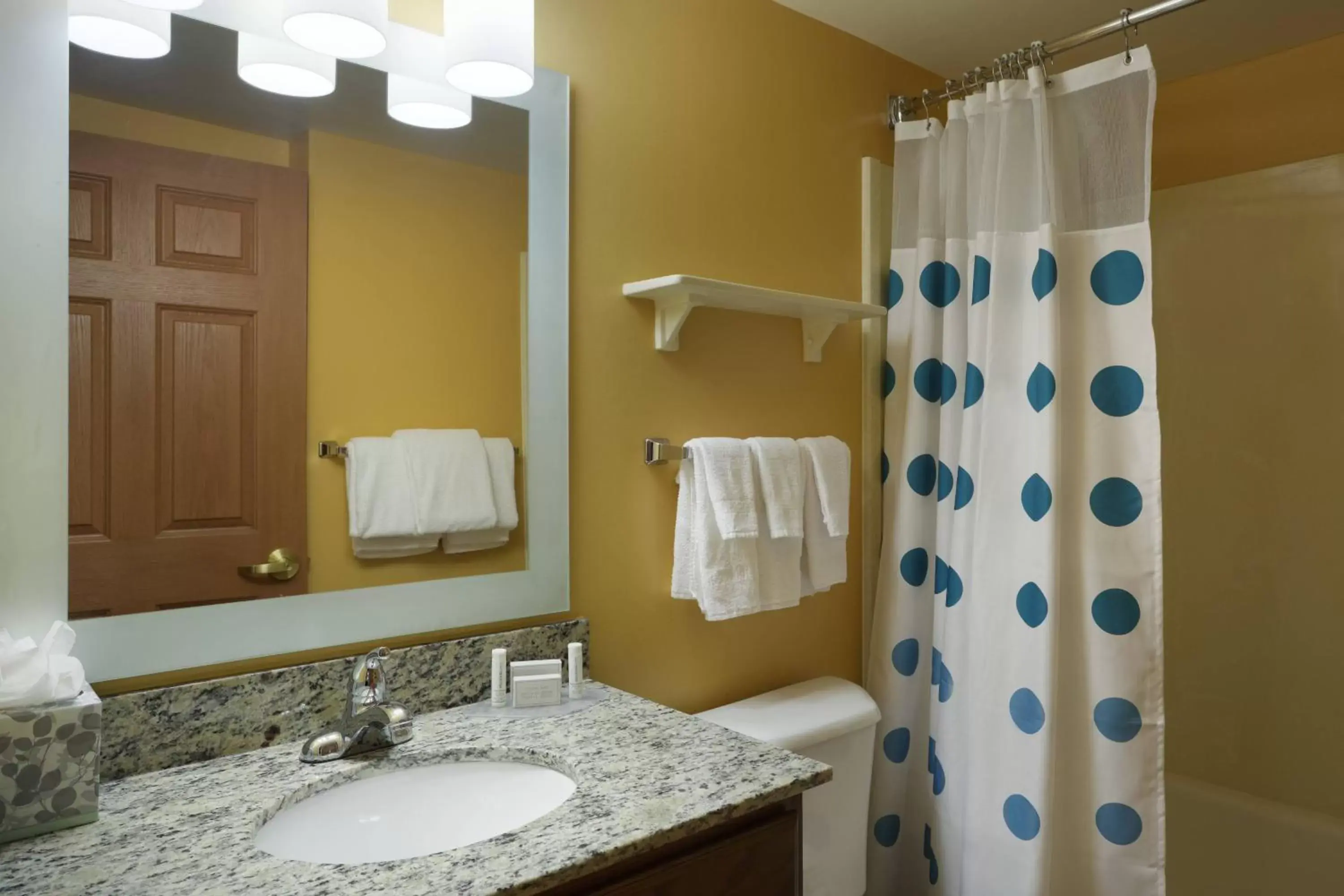 Bathroom in TownePlace Suites Tampa North I-75 Fletcher