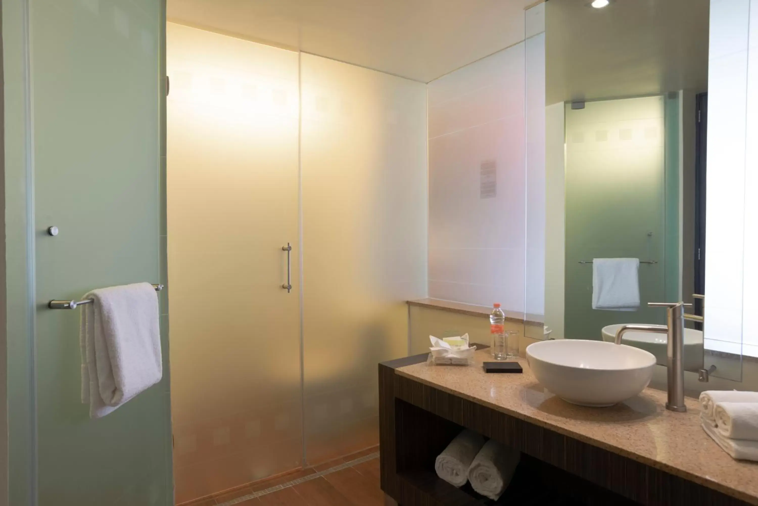 Shower, Bathroom in Holiday Inn Mexico City-Plaza Universidad, an IHG Hotel