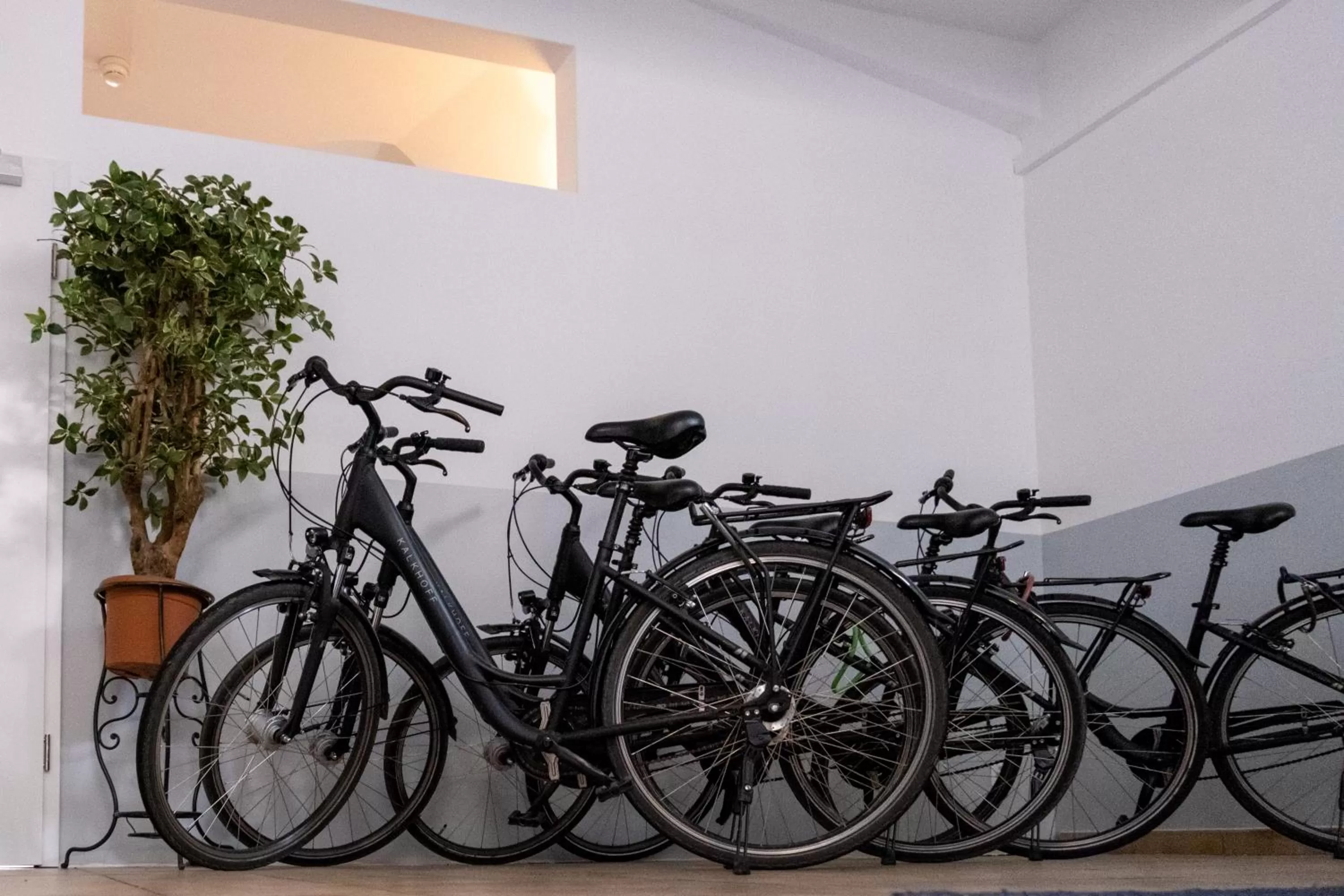 Entertainment in Hotel Geranio Au Lac