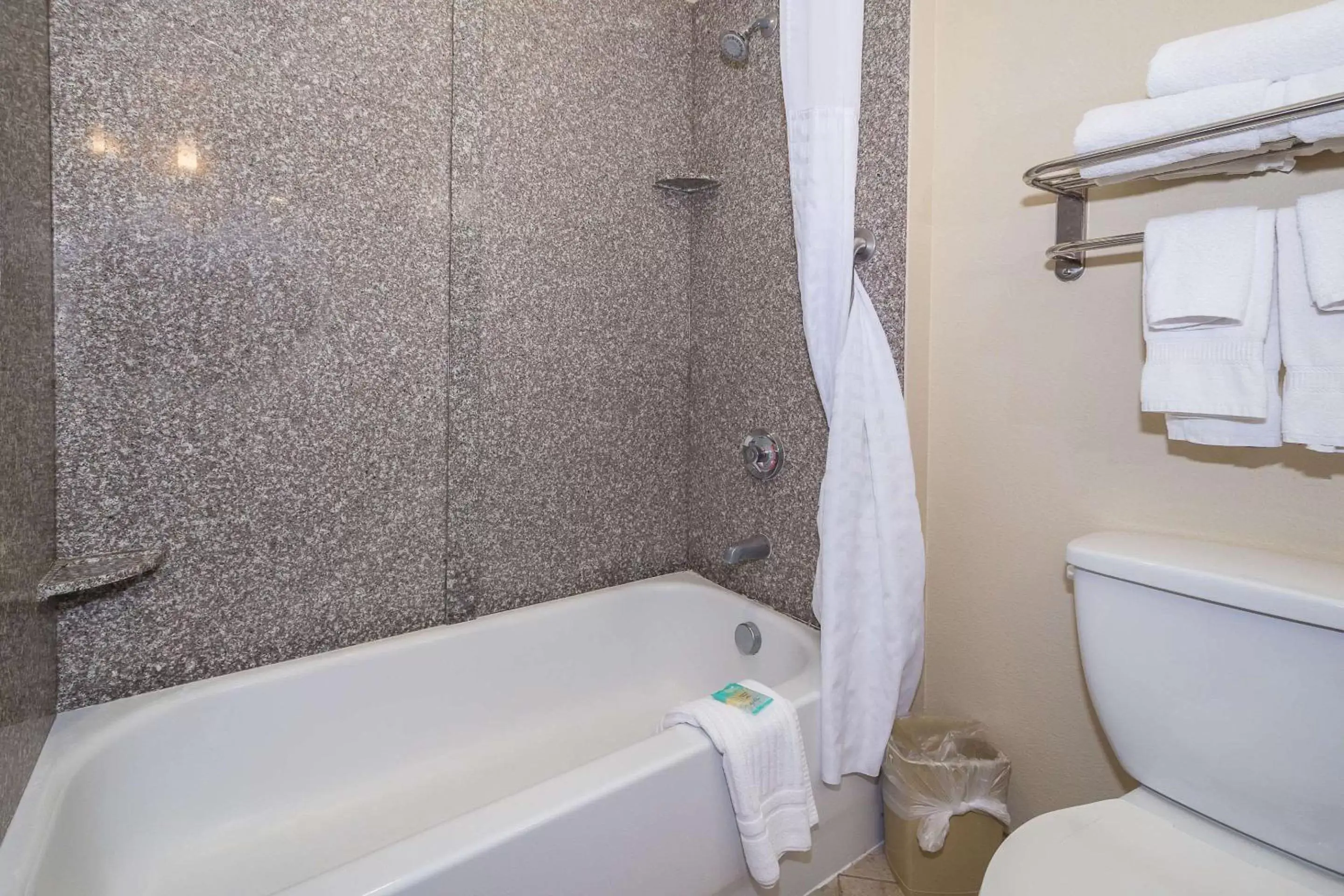 Bathroom in Comfort Inn & Suites Maingate South