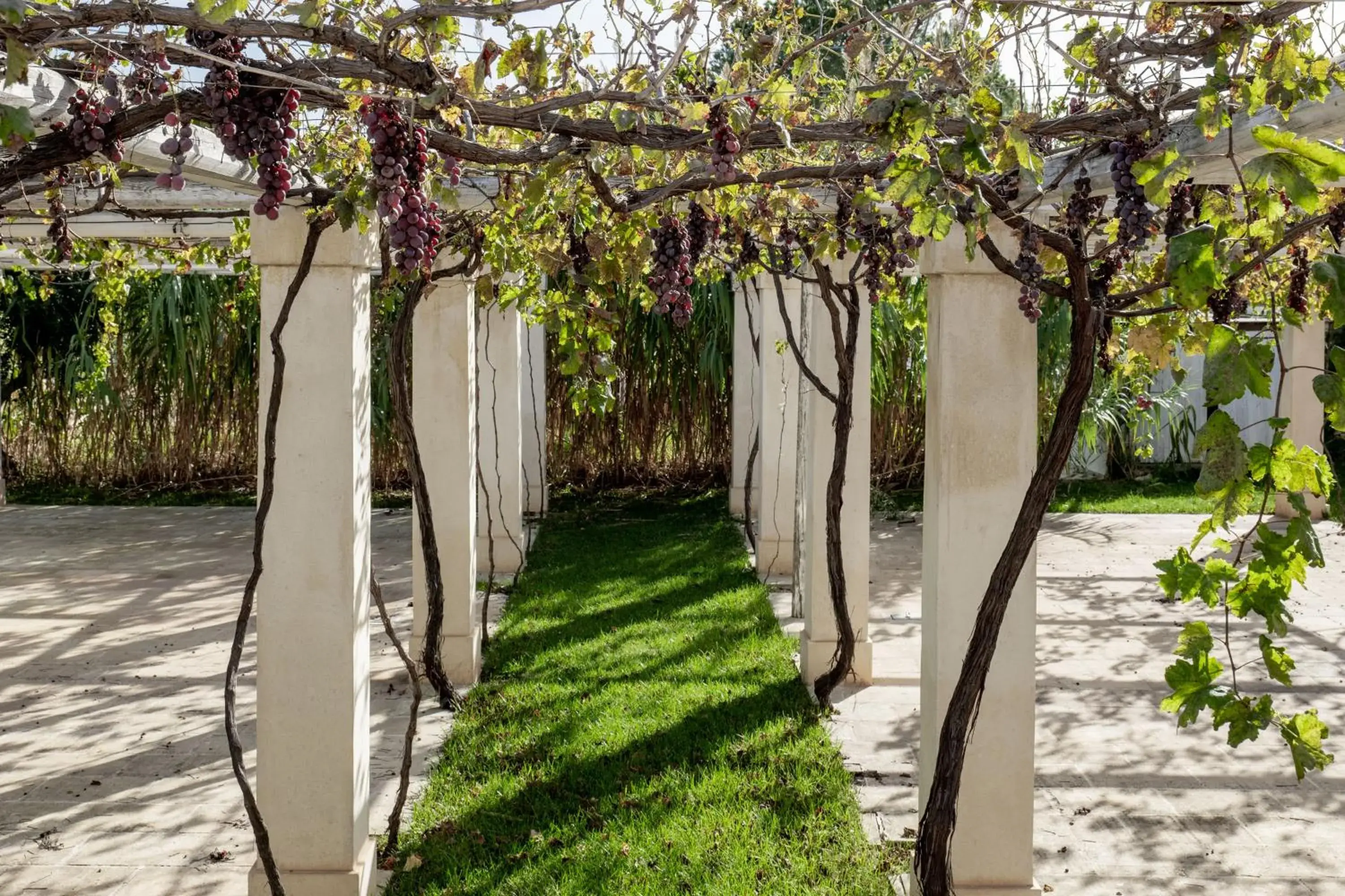 Garden in San Lorenzo Boutique Hotel & SPA