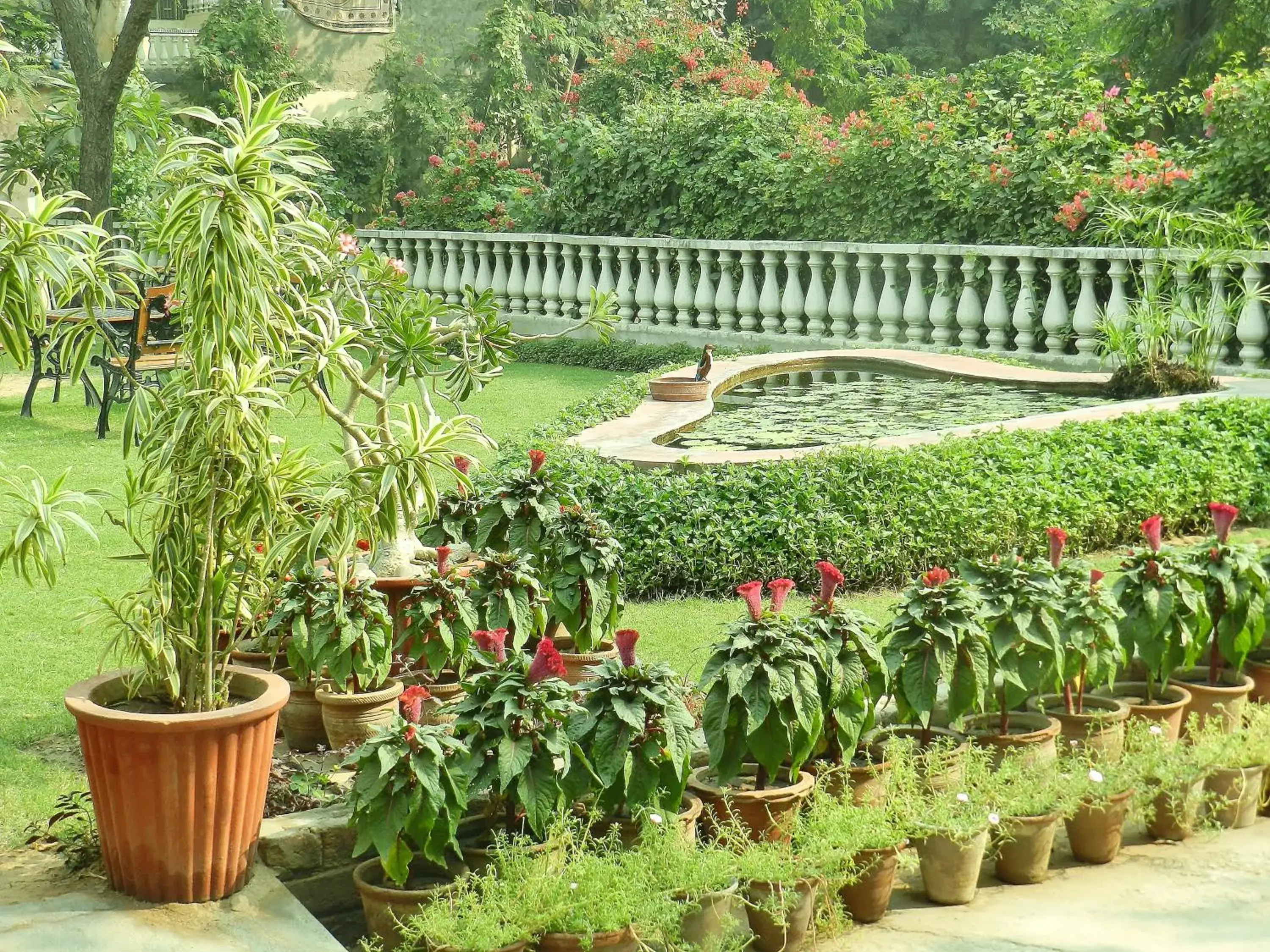 Garden in Jai Niwas Garden Hotel