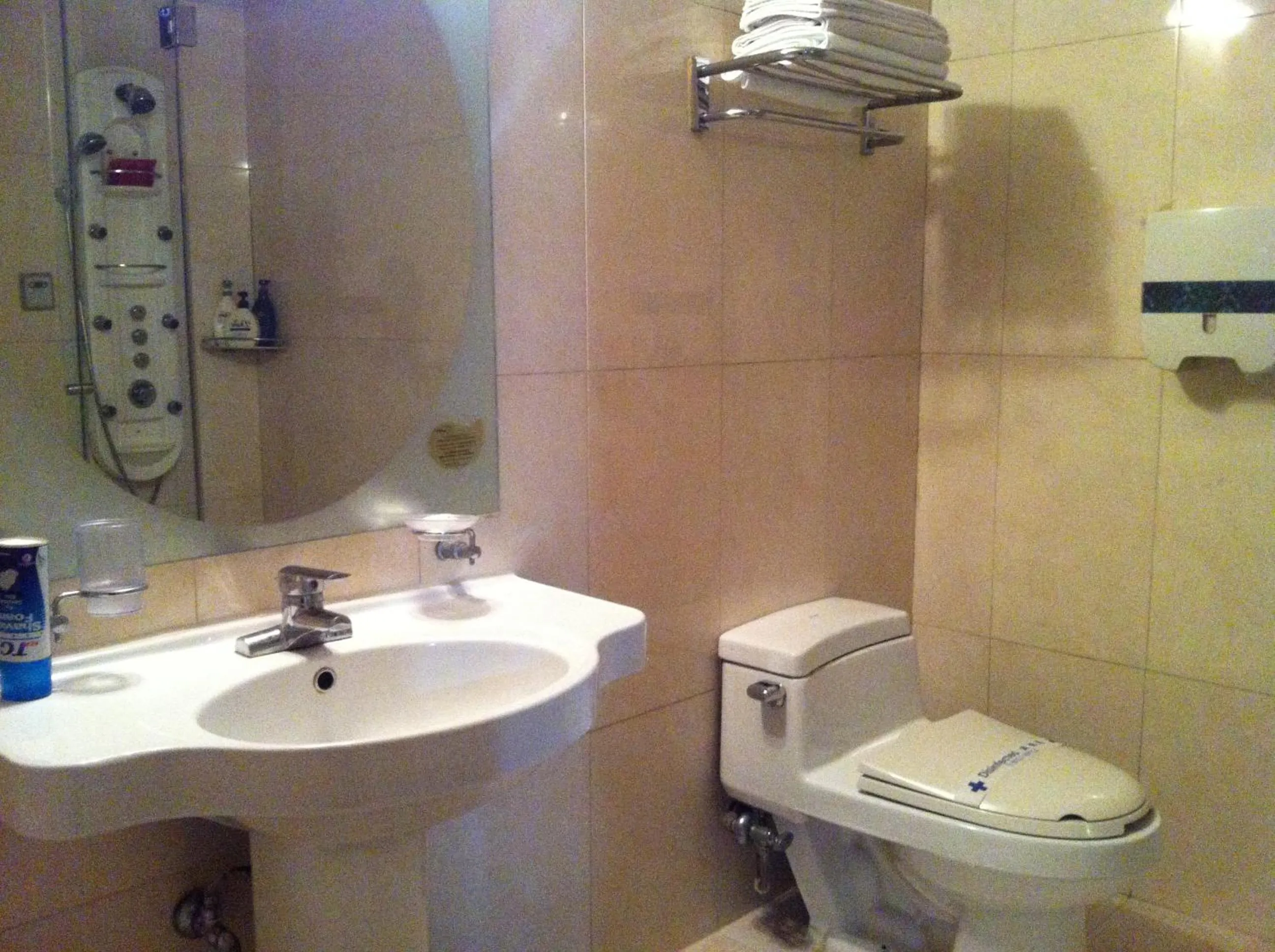 Toilet in Bali Tourist Hotel