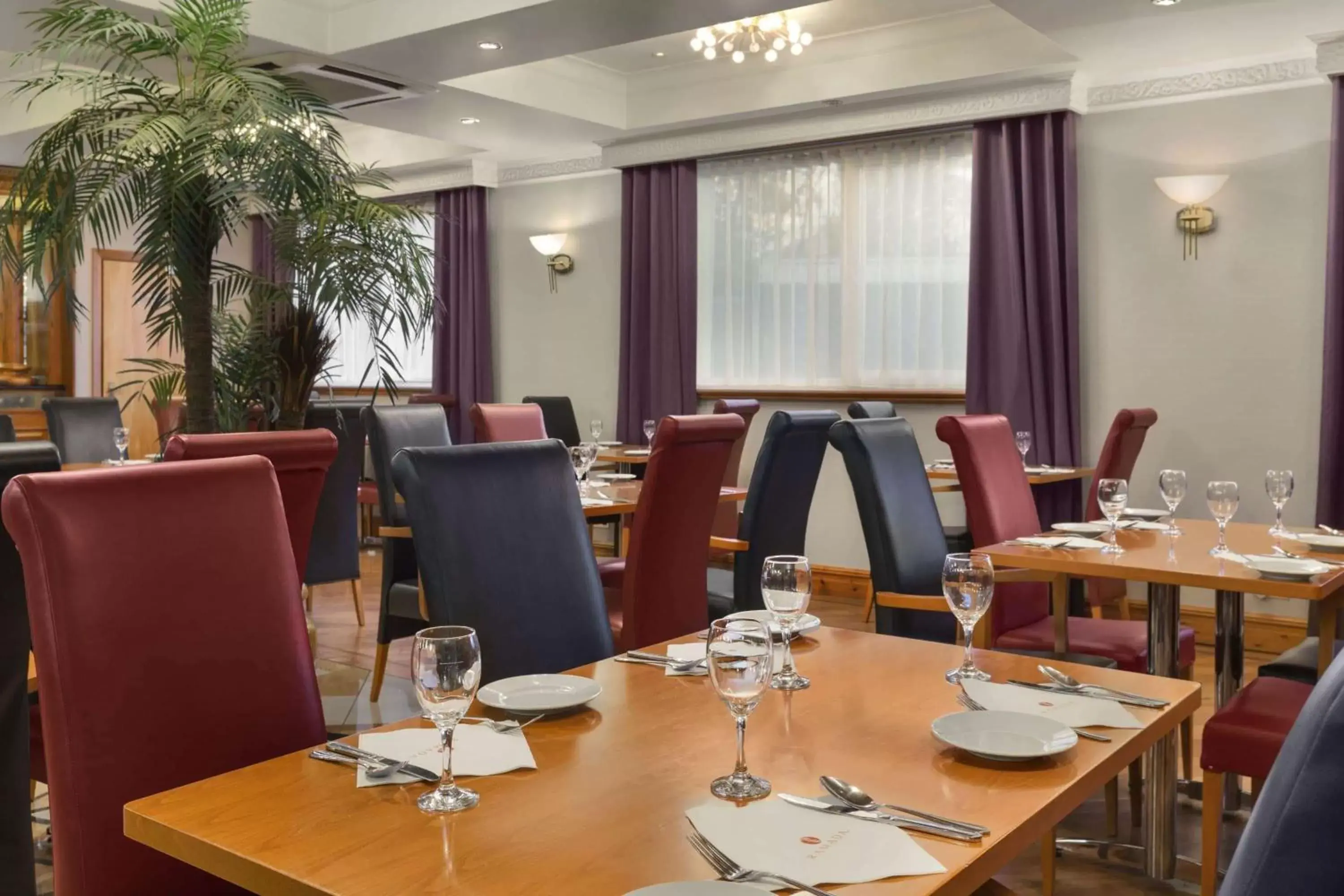 Restaurant/Places to Eat in Savera Hotel South Ruislip