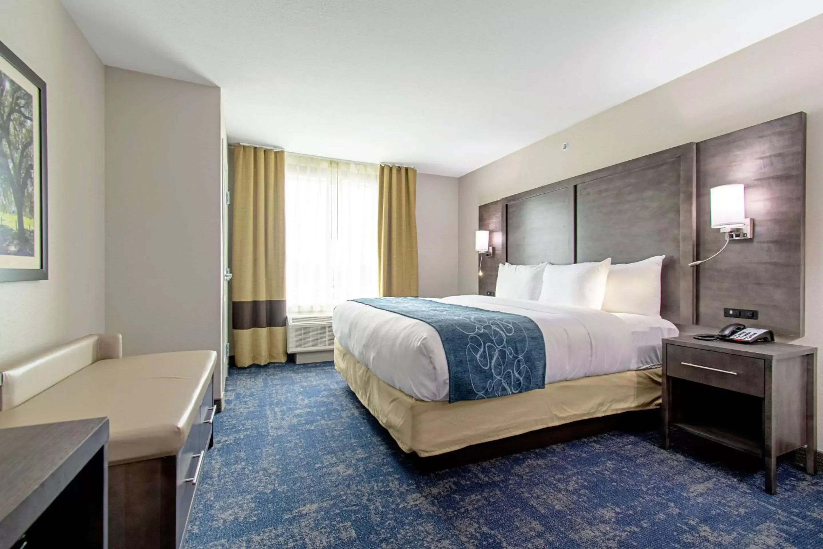 Photo of the whole room, Bed in Comfort Suites Humble Houston IAH Photo of the whole room, Bed in Comfort Suites Humble Houston IAH