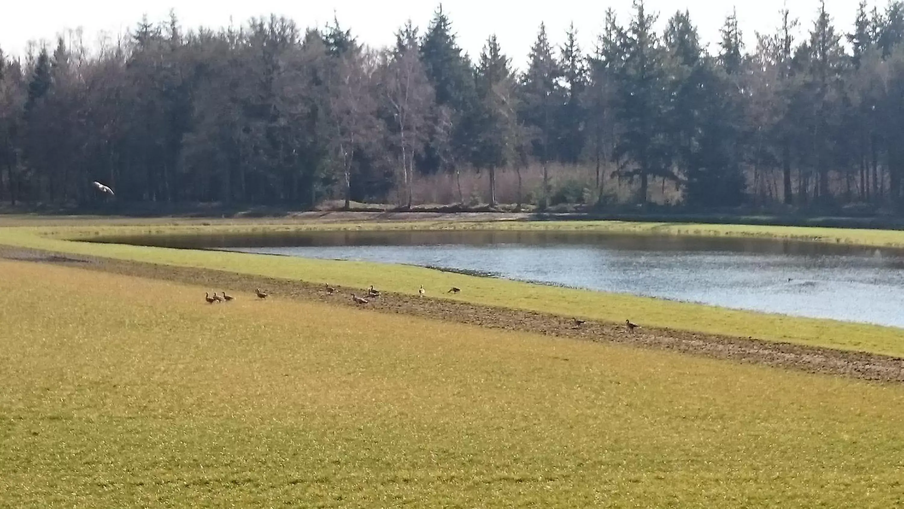 View (from property/room) in B&B Verwoldsehof