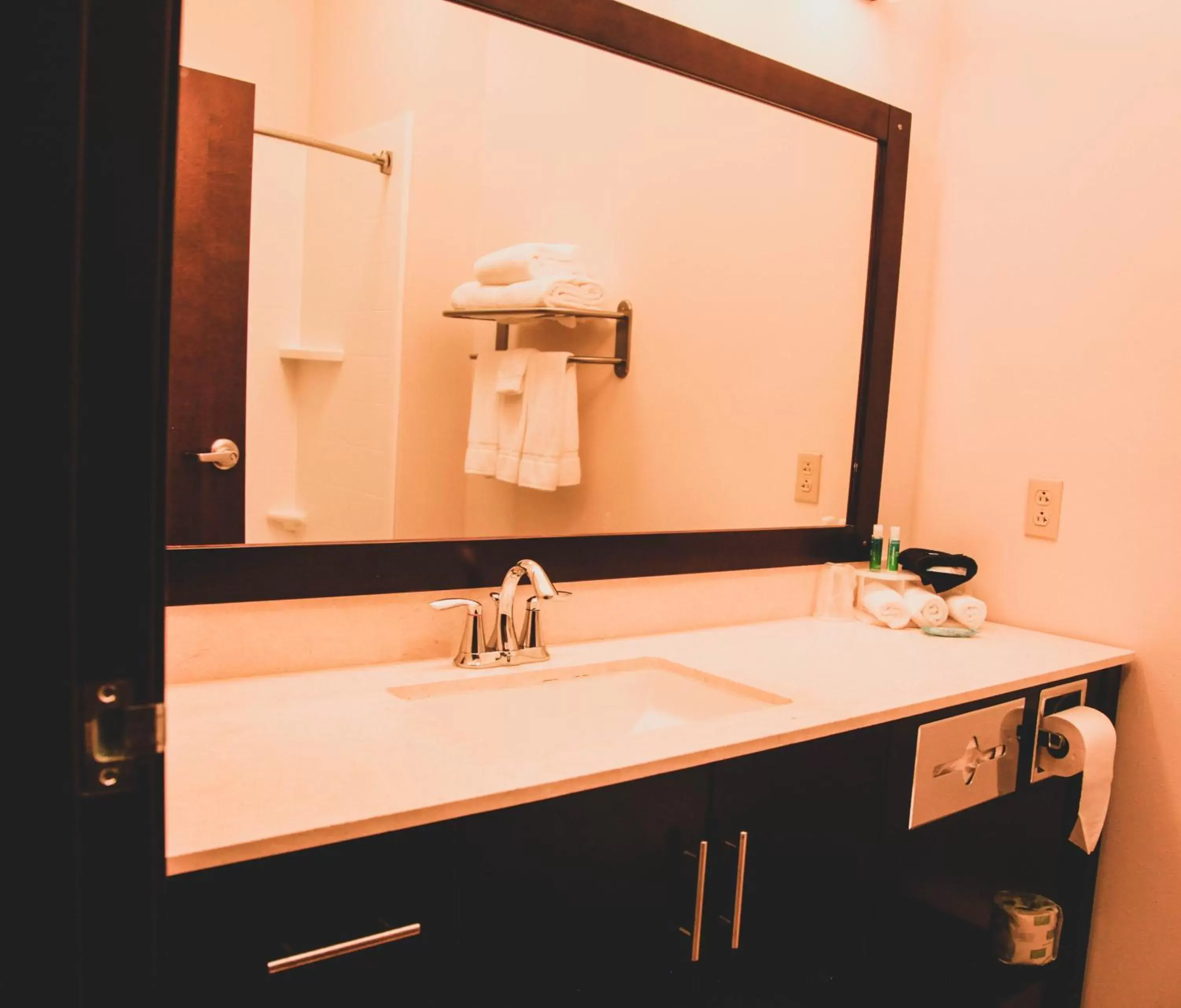 Bathroom in Holiday Inn Express & Suites Cumberland - La Vale, an IHG Hotel