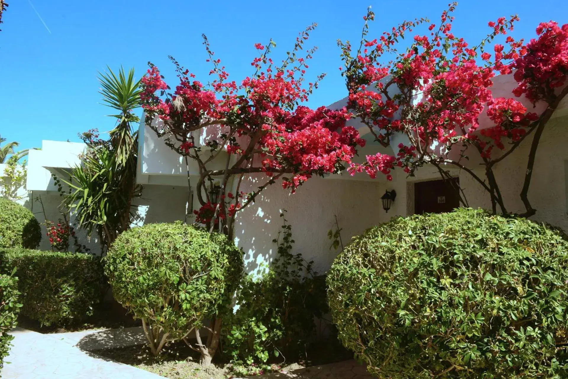 Garden, Property Building in Blue Horizon