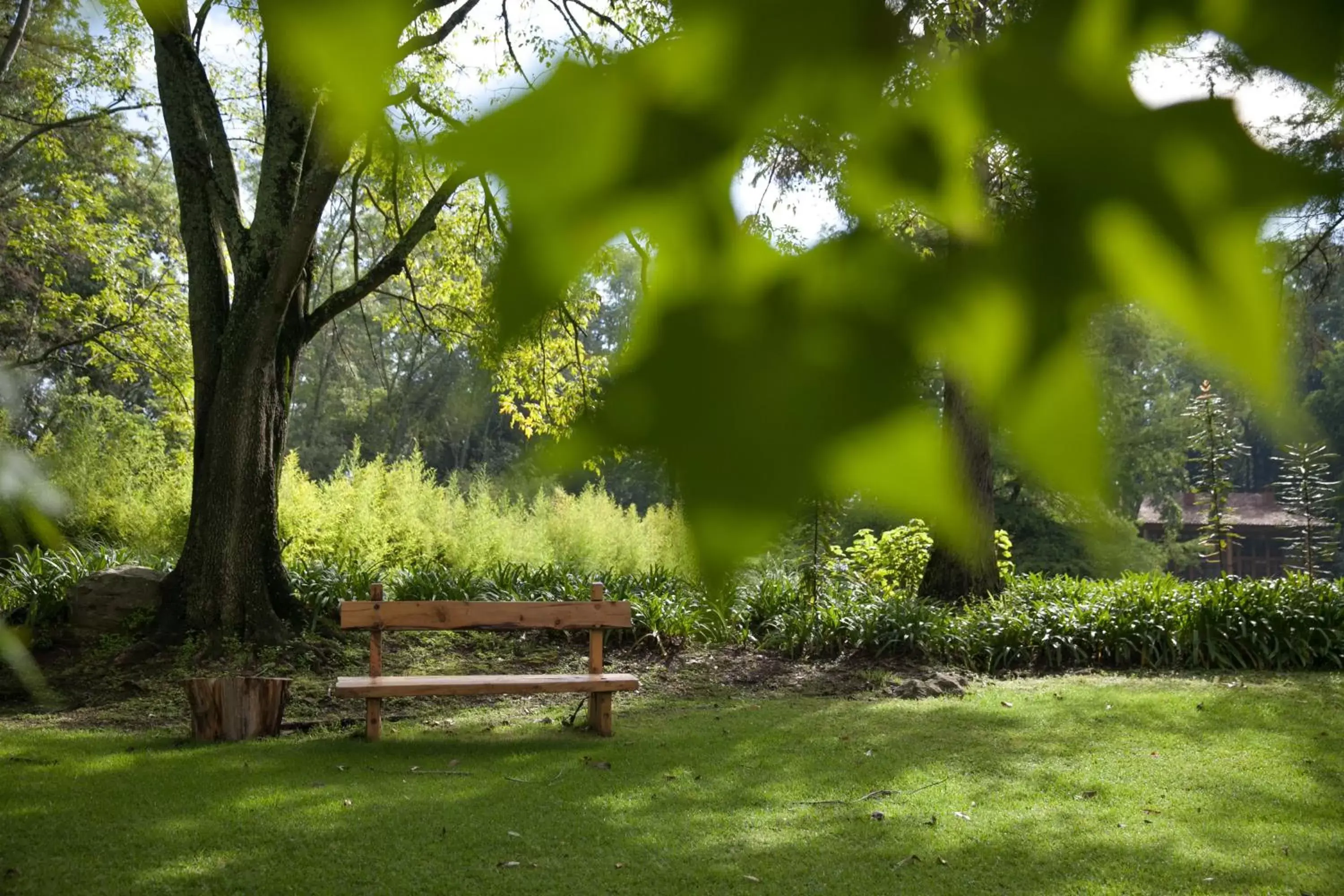 Natural landscape, Garden in Hotel Rancho San Cayetano