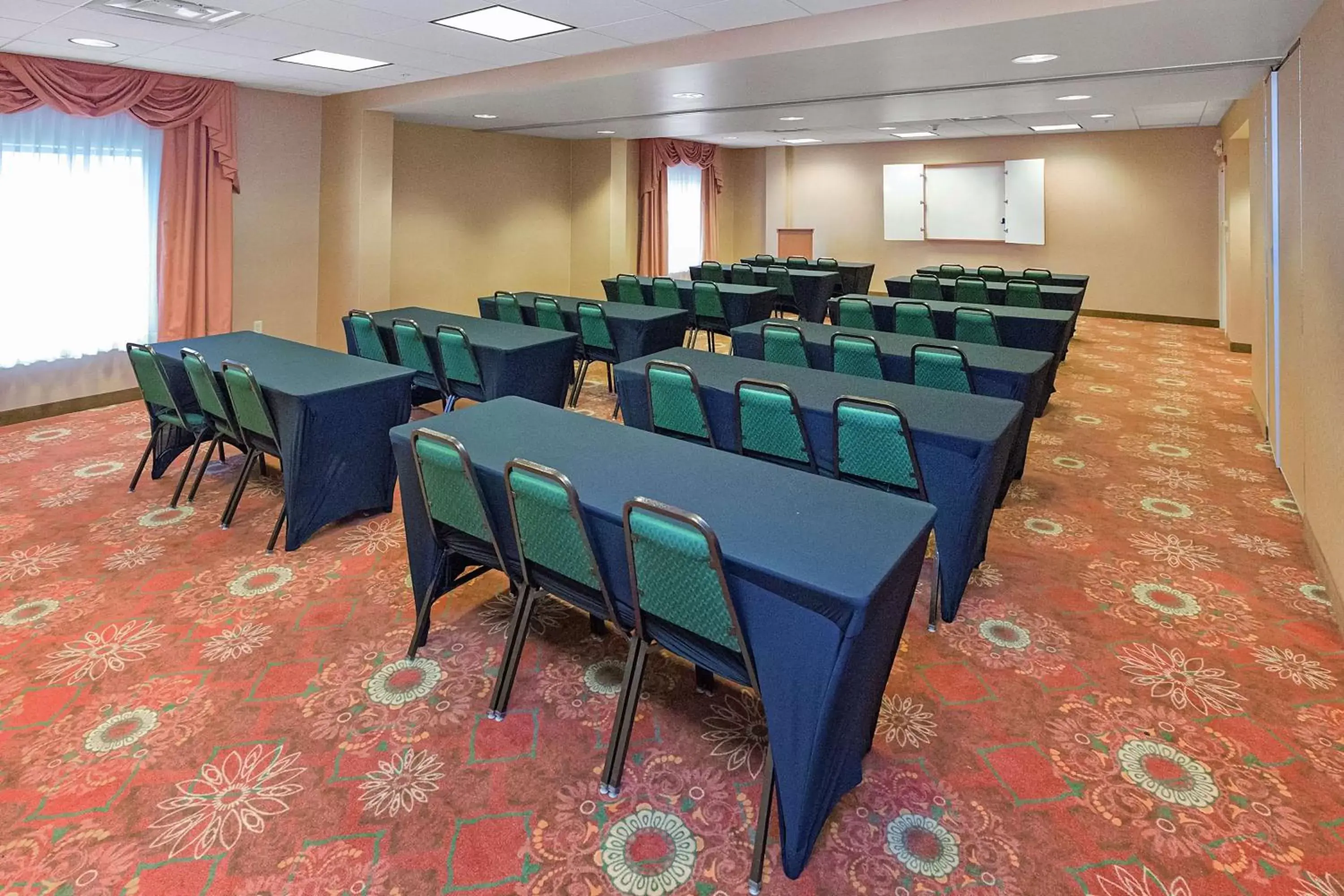 Meeting/conference room in Hampton Inn & Suites Blairsville