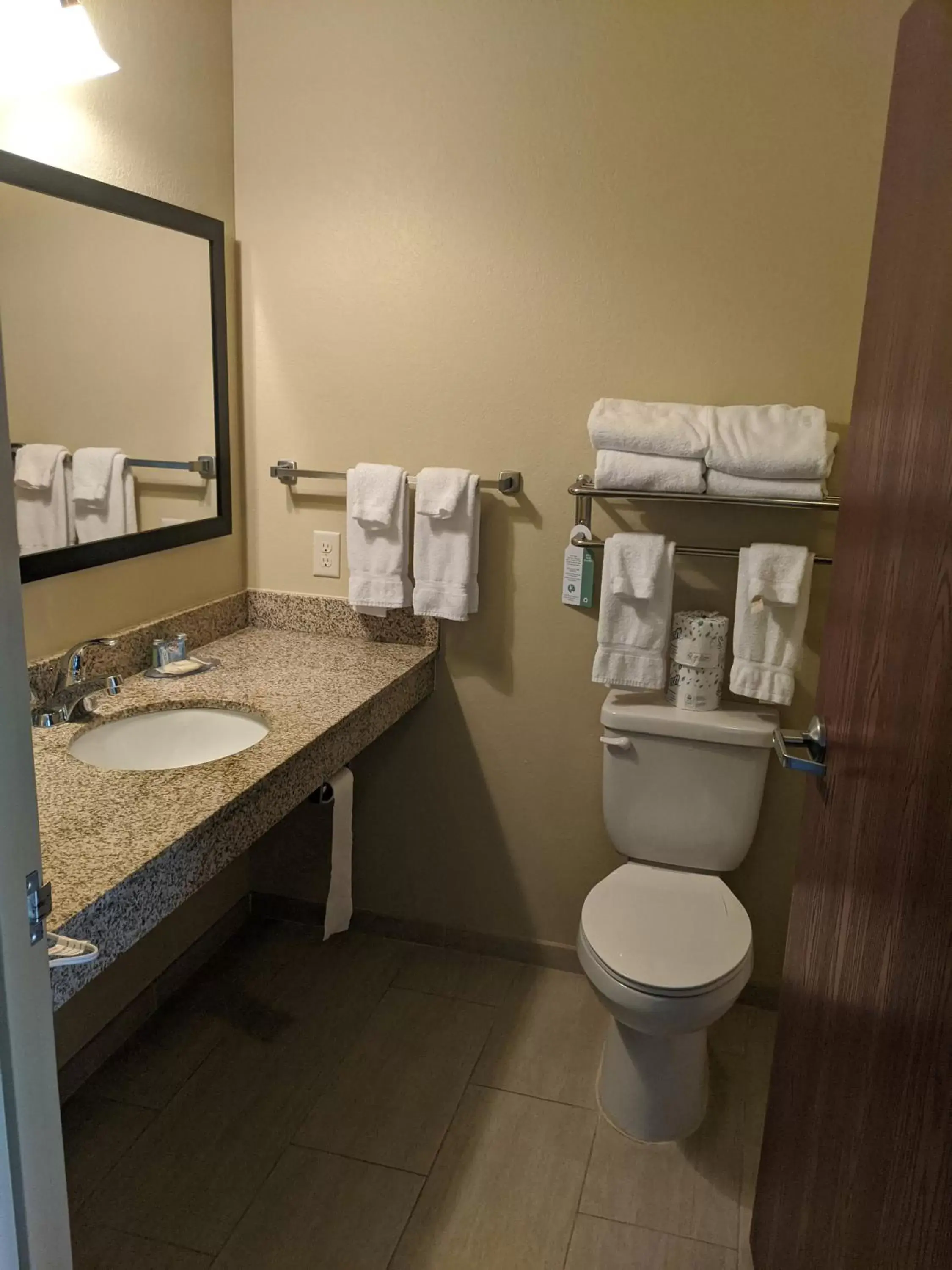 Bathroom in Cobblestone Inn & Suites-Winterset