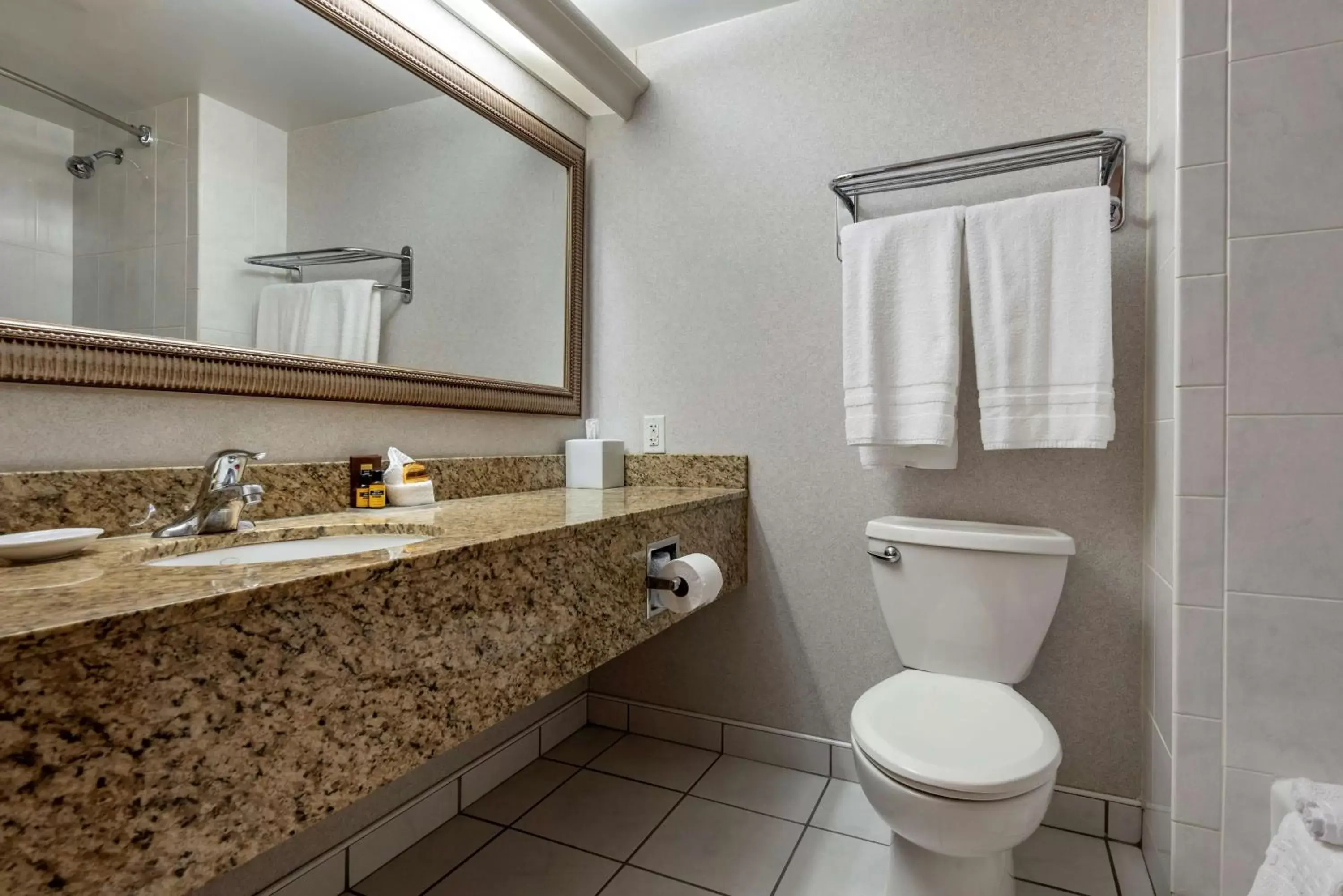 Bathroom in Best Western Plus Oswego Hotel and Conference Center